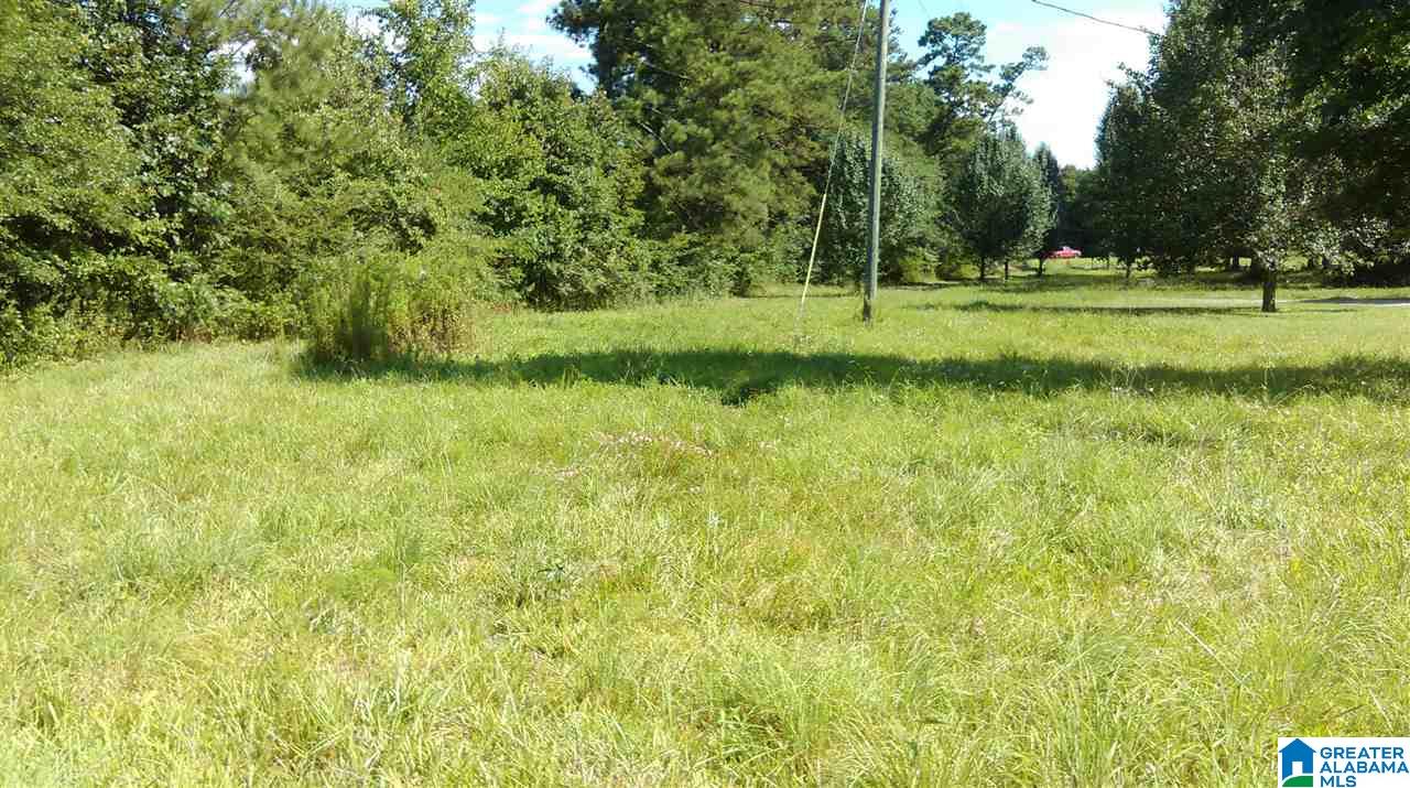 637 Little Road Blountsville, AL 35031 - Photo 10 of 43