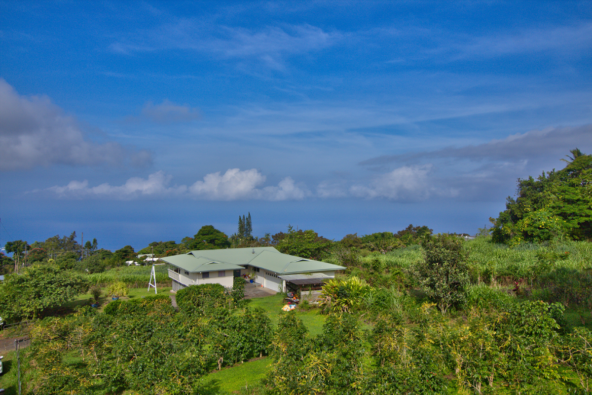 82-1019 KOA Road Captain Cook, HI 96704 - Photo 1 of 17 a backyard of a house with lots of green space