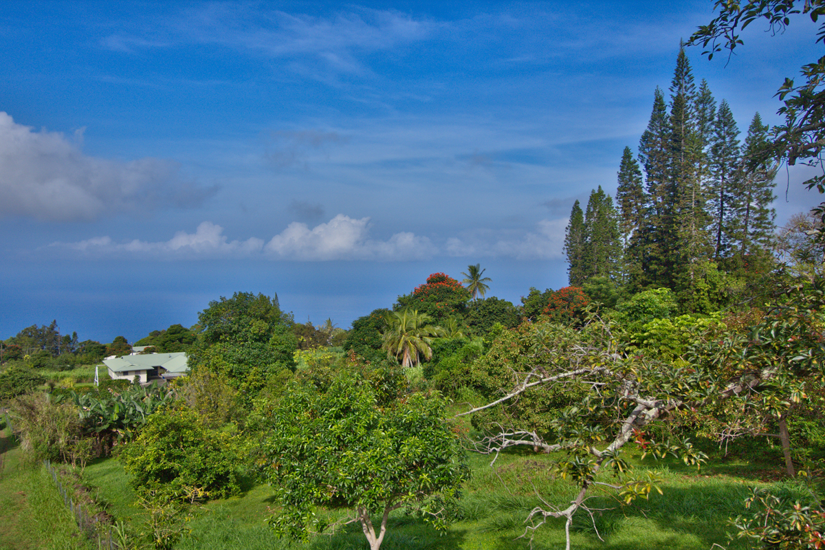 82-1019 KOA Road Captain Cook, HI 96704 - Photo 17 of 19 an aerial view of a house with a yard