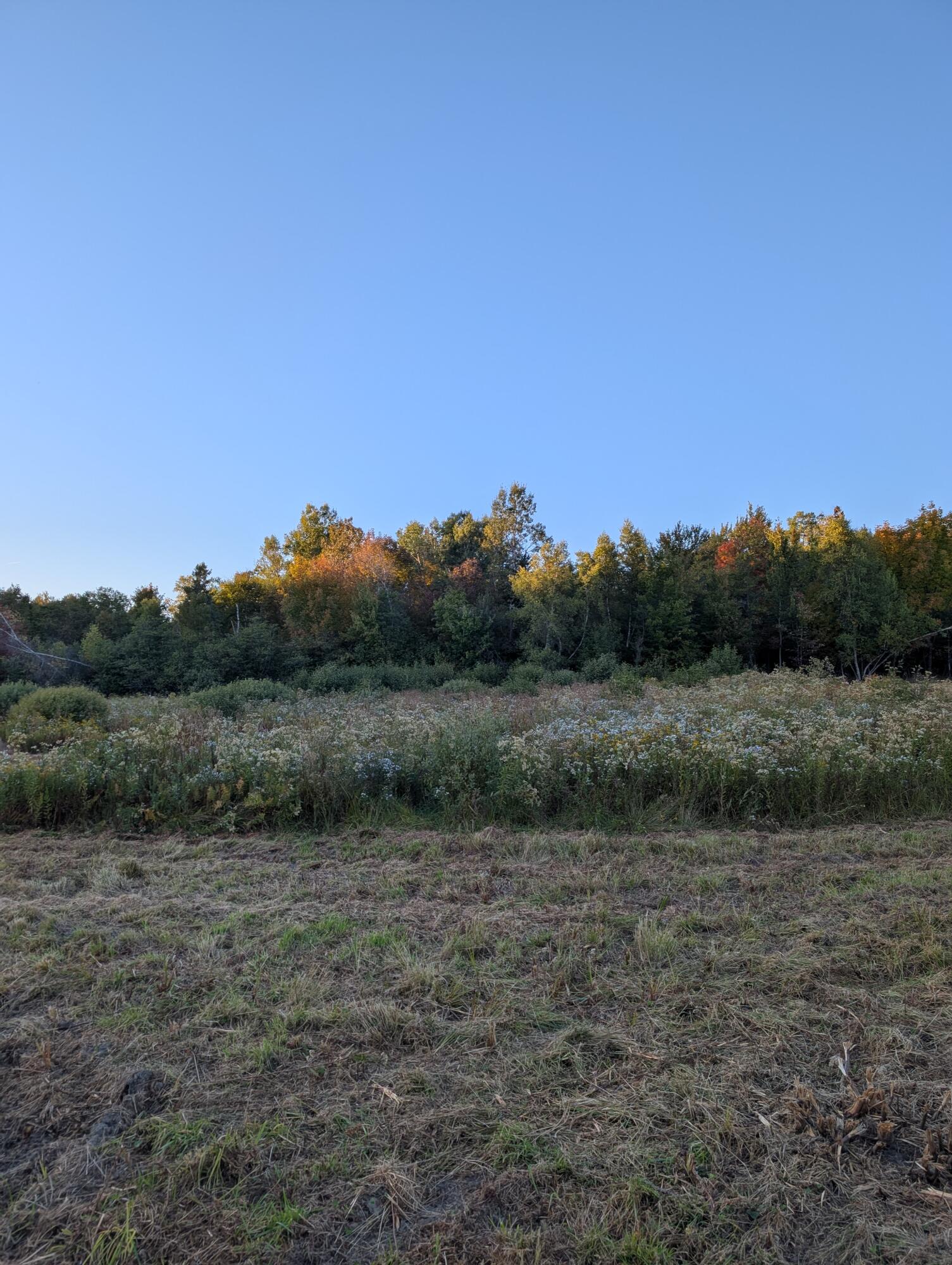# Pond Road Abbot, ME 04406 - Photo 12 of 13 PXL_20250919_220733298