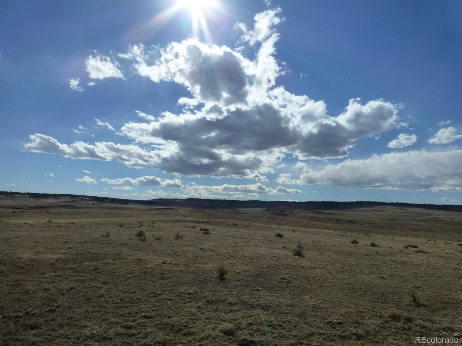 Lot 11 Fiddleback Ranch Road Kiowa, CO 80117 - Photo 2 of 10