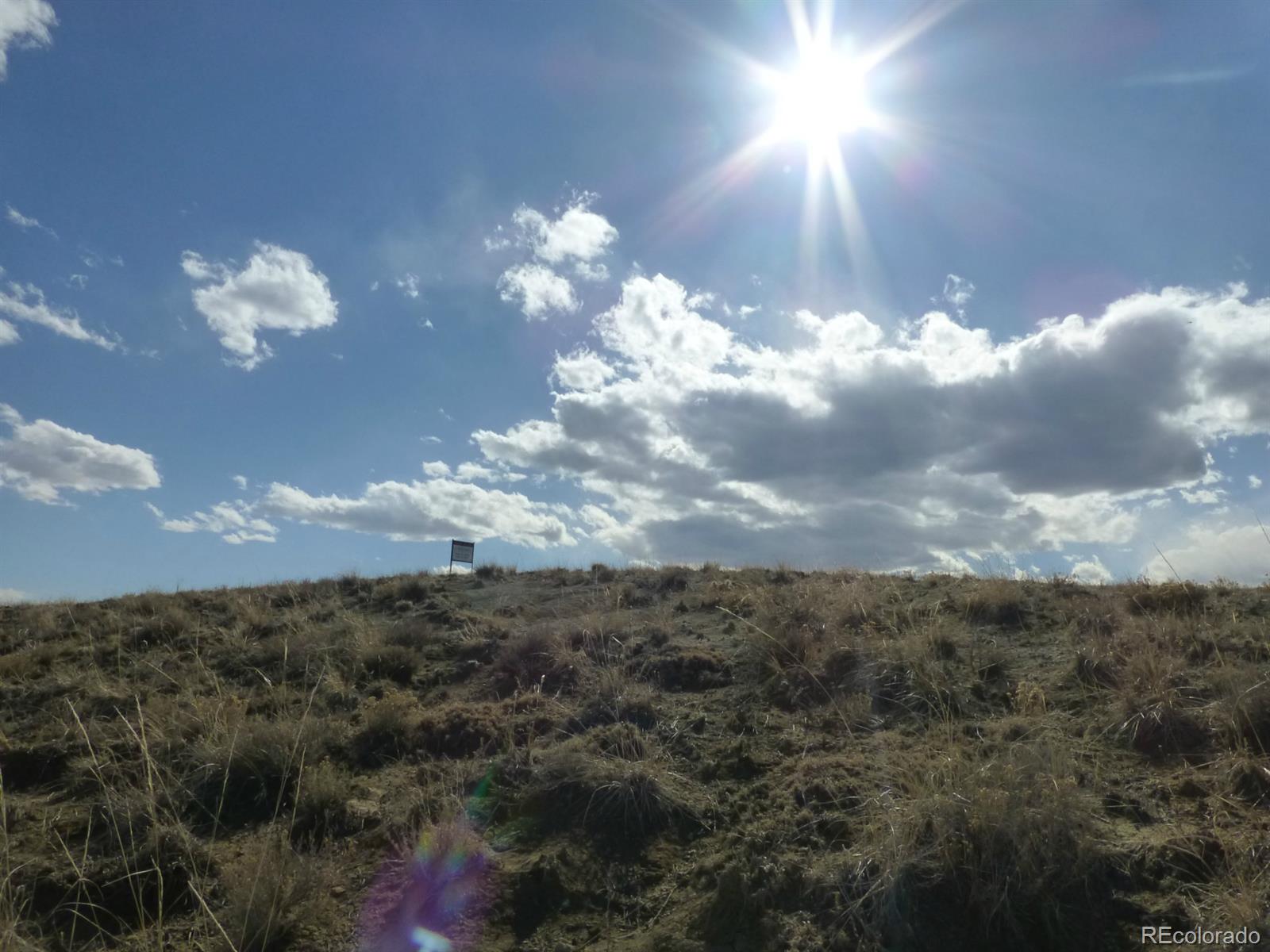 Lot 11 Fiddleback Ranch Road Kiowa, CO 80117 - Photo 5 of 10