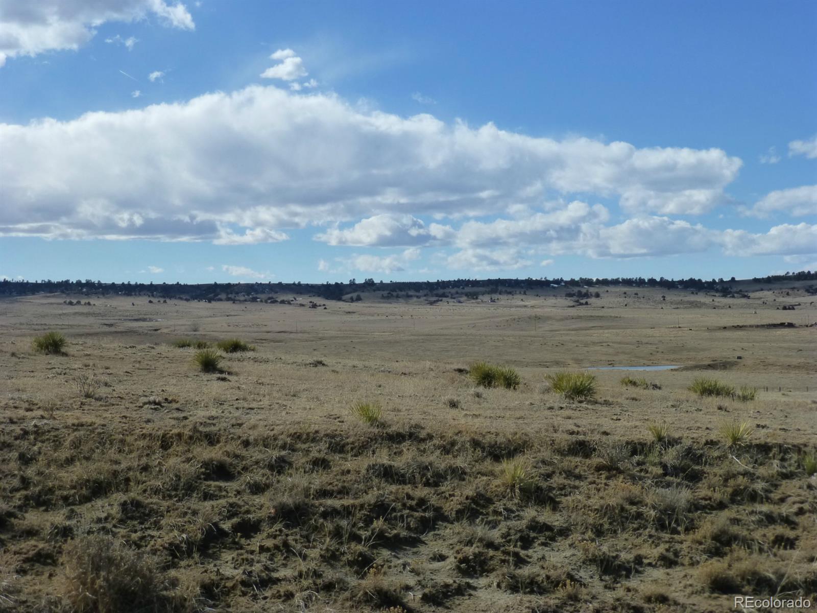 Lot 11 Fiddleback Ranch Road Kiowa, CO 80117 - Photo 8 of 10 a view of a lake view