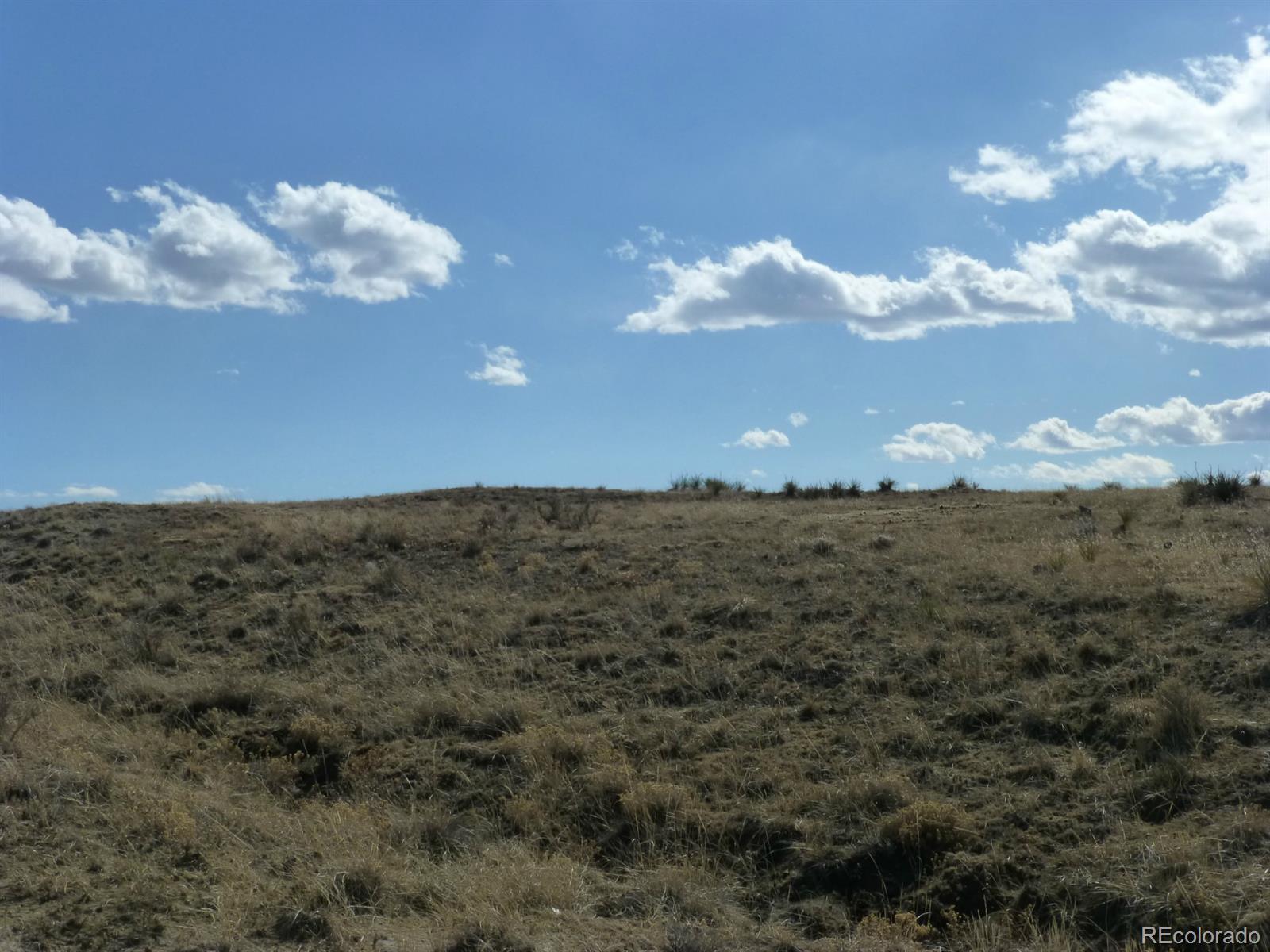 Lot 11 Fiddleback Ranch Road Kiowa, CO 80117 - Photo 9 of 10 a view of a big yard