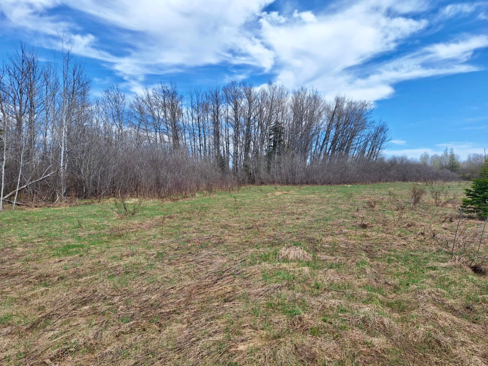 Tbd South Piche Side Road Brimley, MI 49715 - Photo 7 of 11 Gallery Image 7