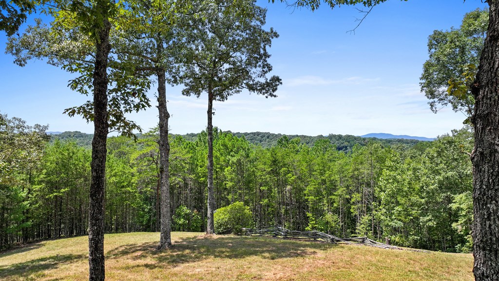 155 Paesano Road Mineral Bluff, GA 30559 - Photo 9 of 55 Gallery Image 9