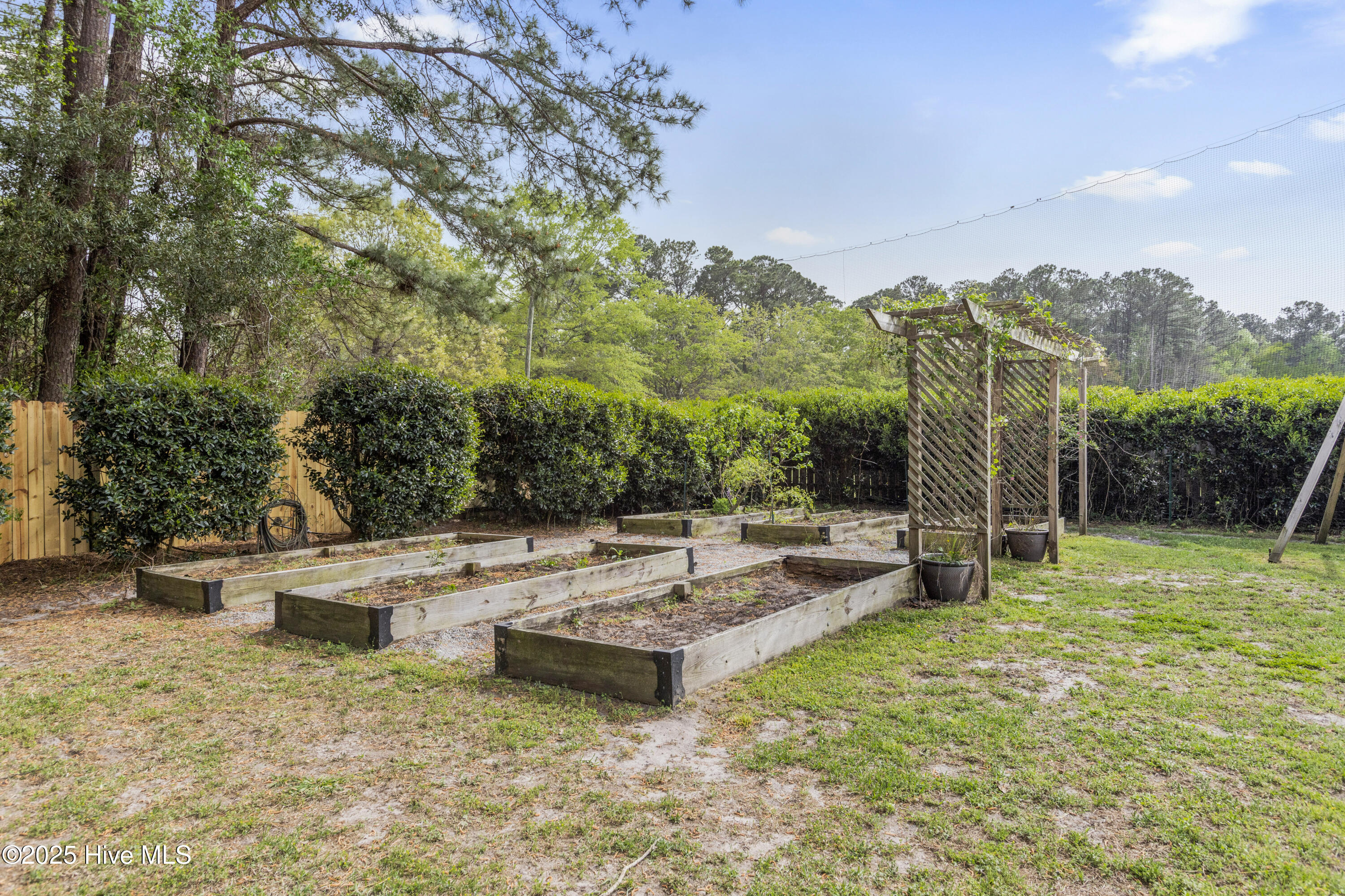 100 Drayton Hall Jacksonville, NC 28540 - Photo 43 of 50 43