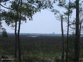 West Oaklawn Road Biloxi, MS 39532 - Photo 2 of 16 View from the property