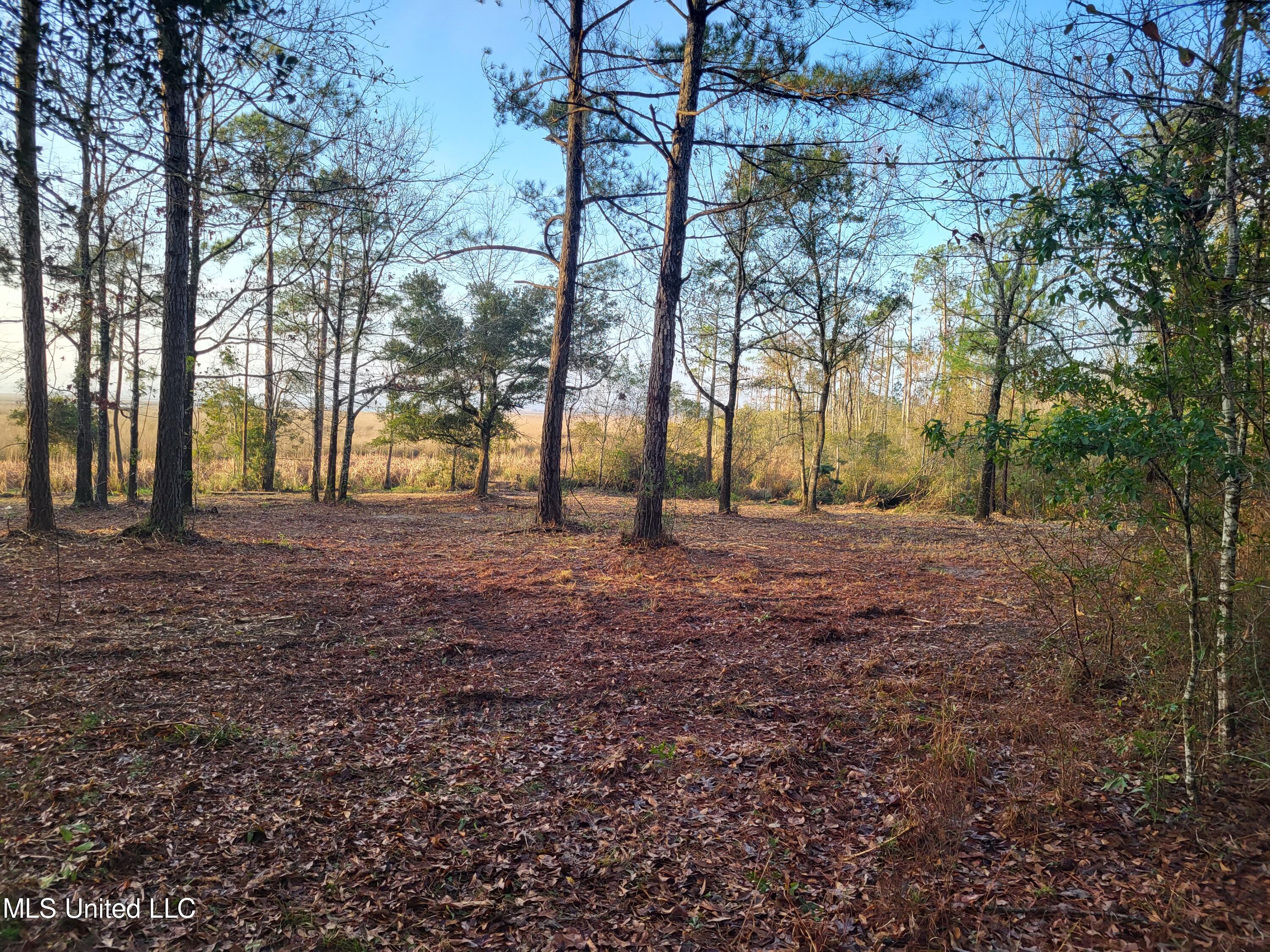 West Oaklawn Road Biloxi, MS 39532 - Photo 3 of 16 20230208_073217
