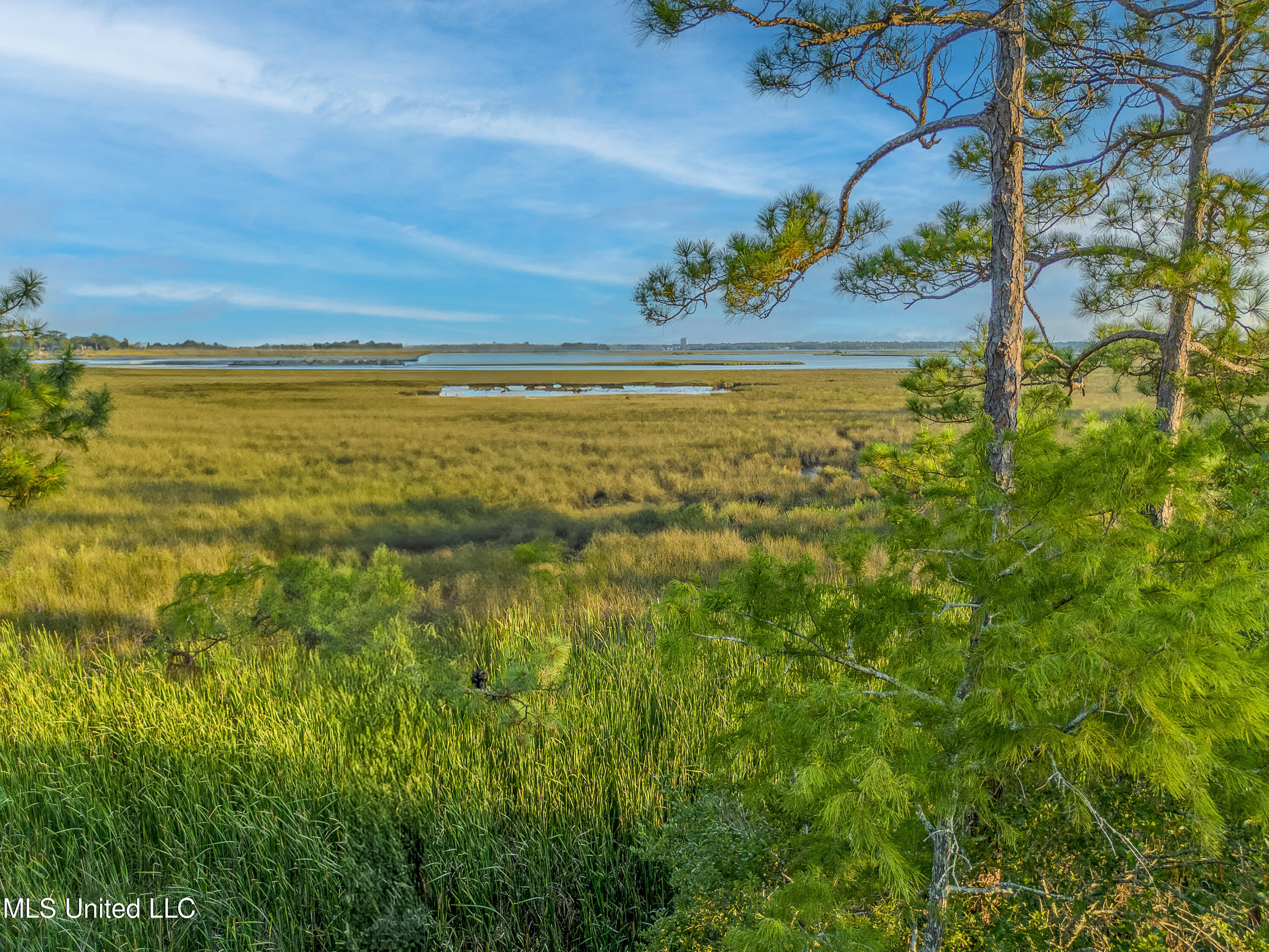 West Oaklawn Road Biloxi, MS 39532 - Photo 6 of 16 15 ft elevation view