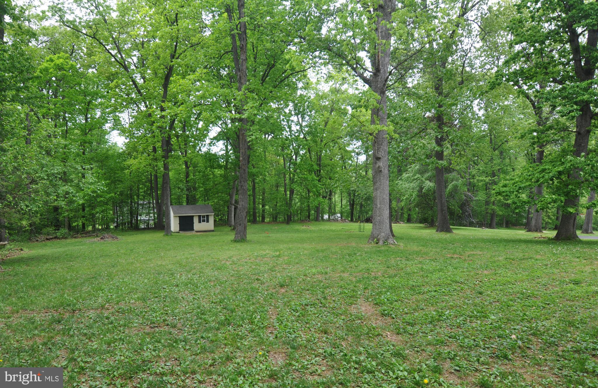 112 Forest Ridge Road Winchester, VA 22602 - Photo 8 of 53 Back yard