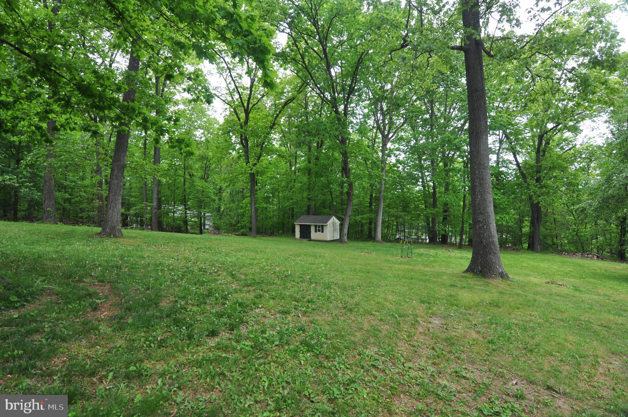 112 Forest Ridge Road Winchester, VA 22602 - Photo 9 of 53 Back yard