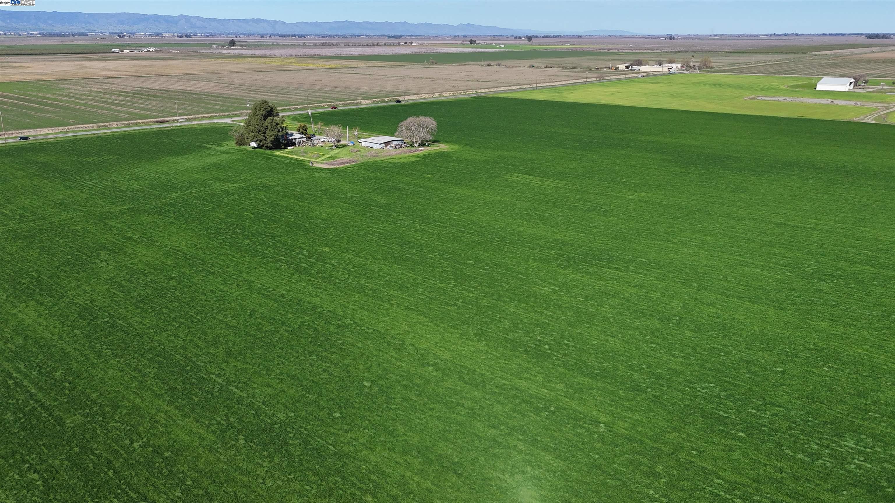 6282 Rio Dixon Road Dixon, CA 95620 - Photo 3 of 8 a green field with some trees in the background