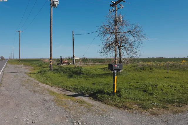 a view of a yard with an tree