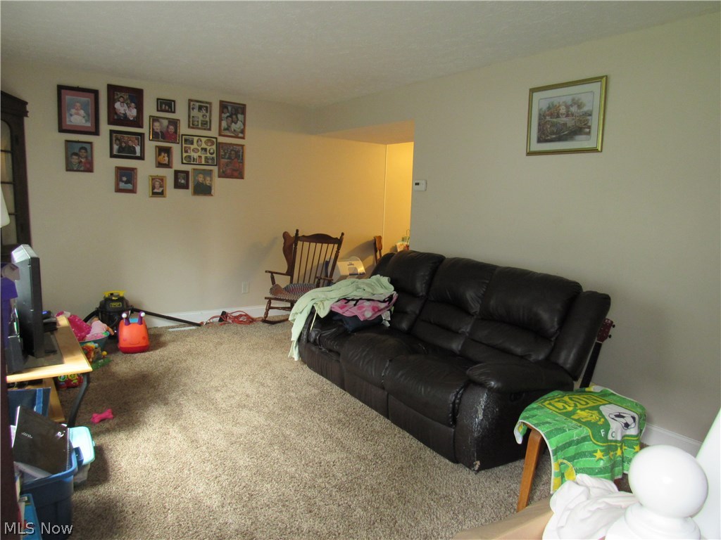 48-50 Hurst Road Painesville, OH 44077 - Photo 19 of 34 Unit #50 with neutral decor that was updated within the last 5 years as well!