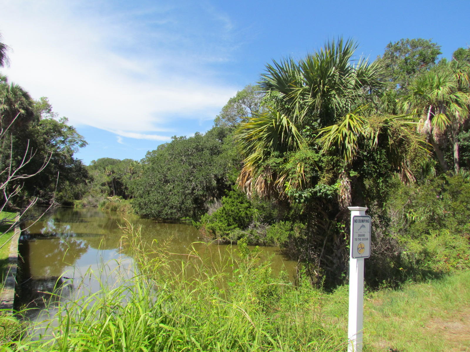 1102 Jungle Road Edisto Beach, SC 29438 - Photo 1 of 12 IMG_3325