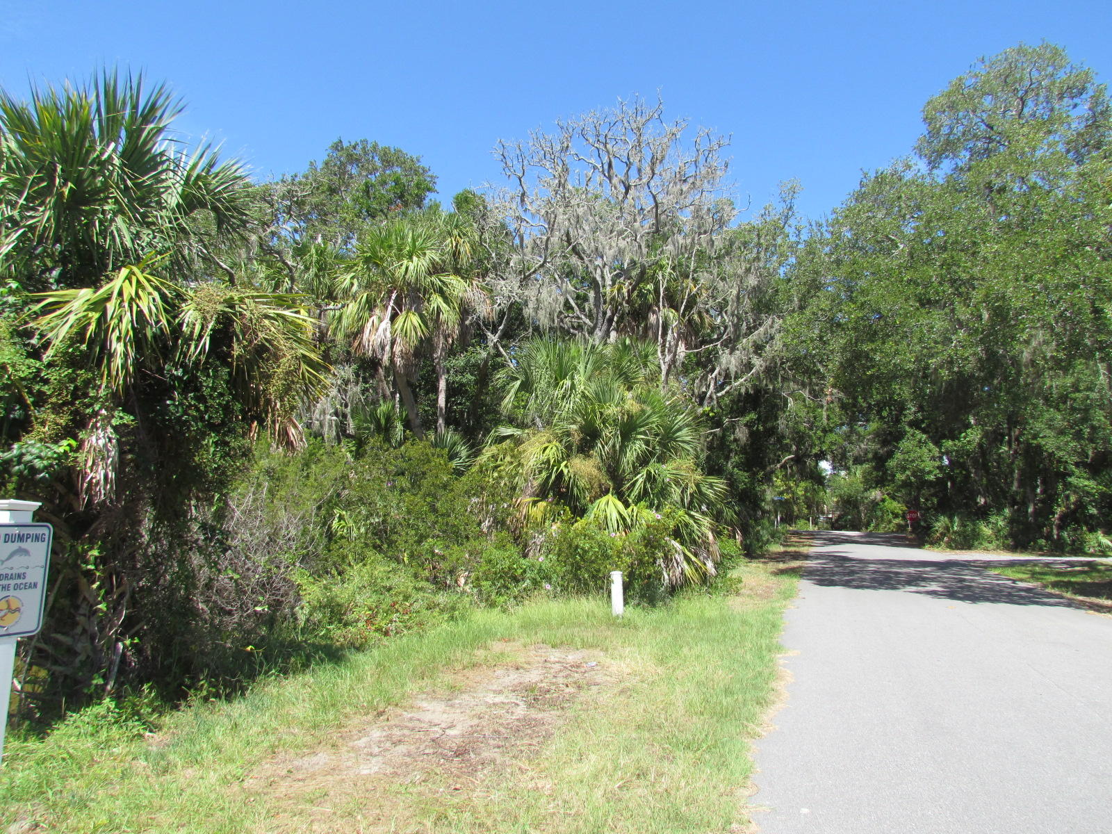 1102 Jungle Road Edisto Beach, SC 29438 - Photo 2 of 12 IMG_3326
