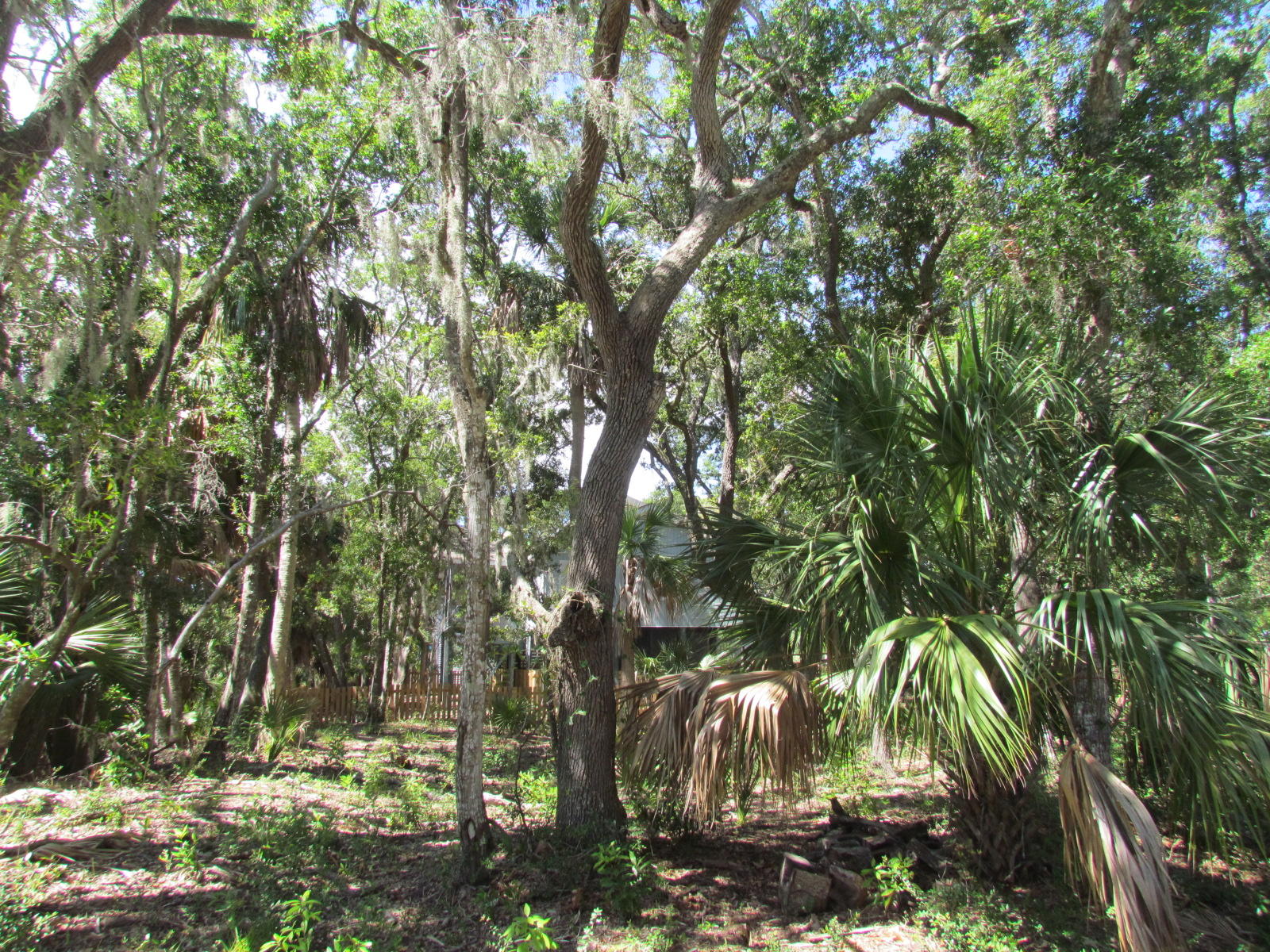 1102 Jungle Road Edisto Beach, SC 29438 - Photo 12 of 12 IMG_3323
