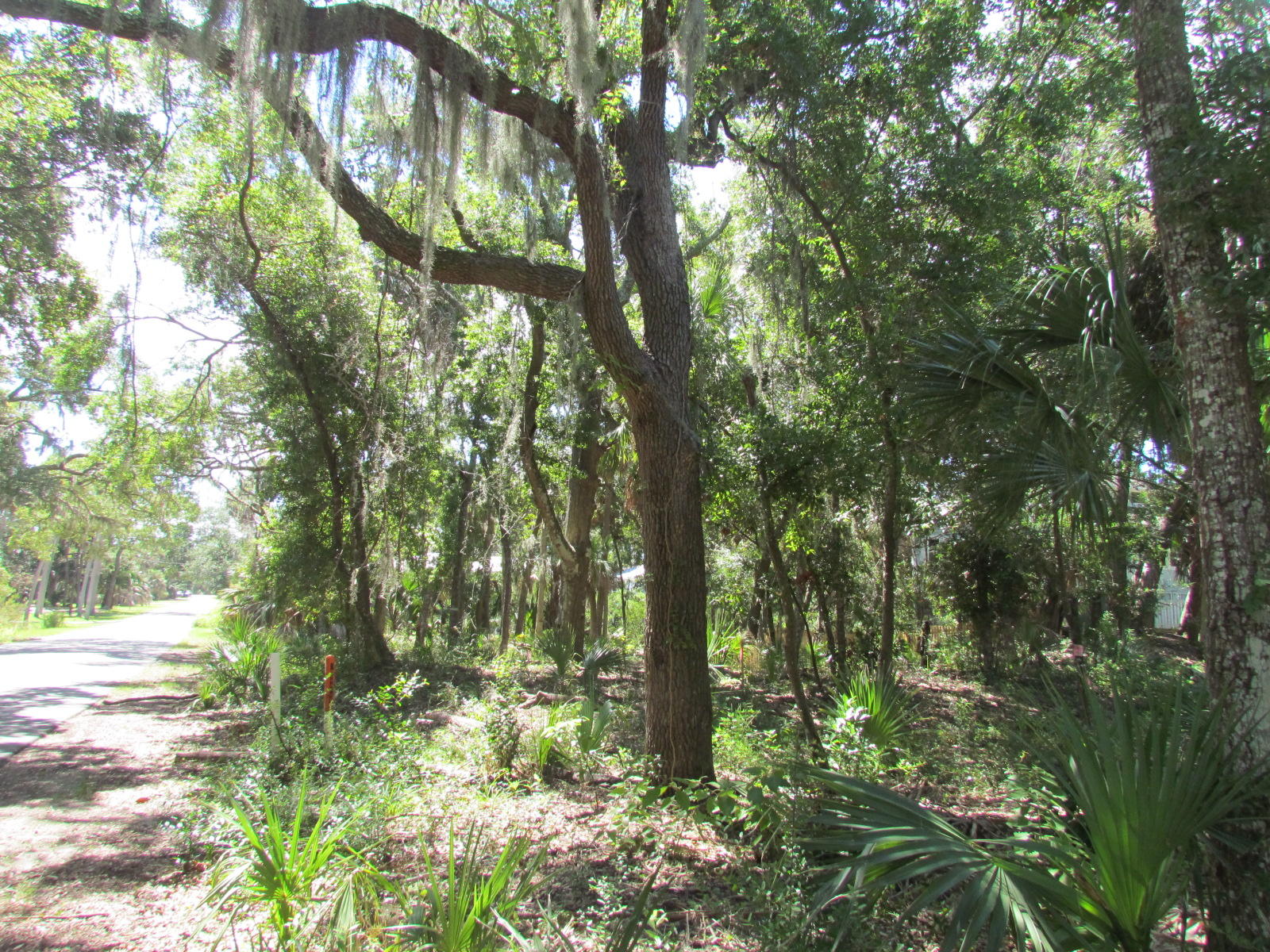 1102 Jungle Road Edisto Beach, SC 29438 - Photo 5 of 12 IMG_3315
