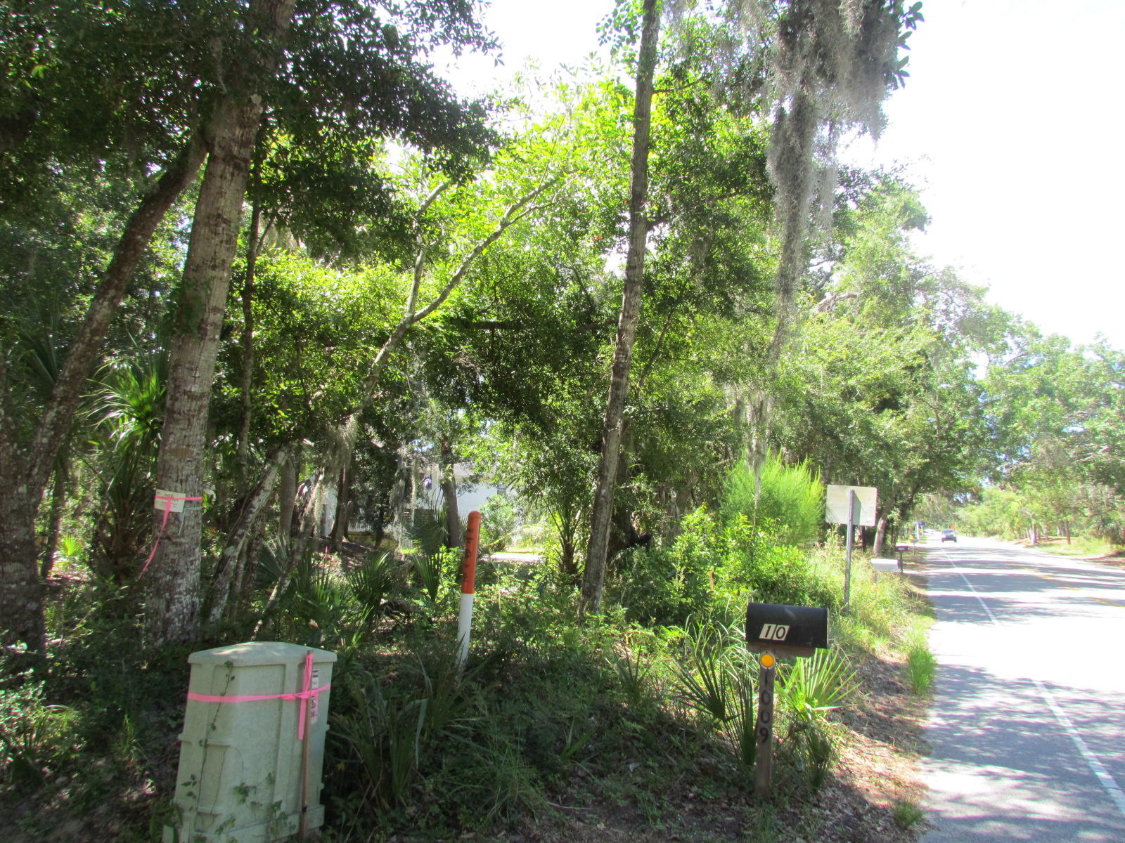1102 Jungle Road Edisto Beach, SC 29438 - Photo 7 of 12 IMG_3316