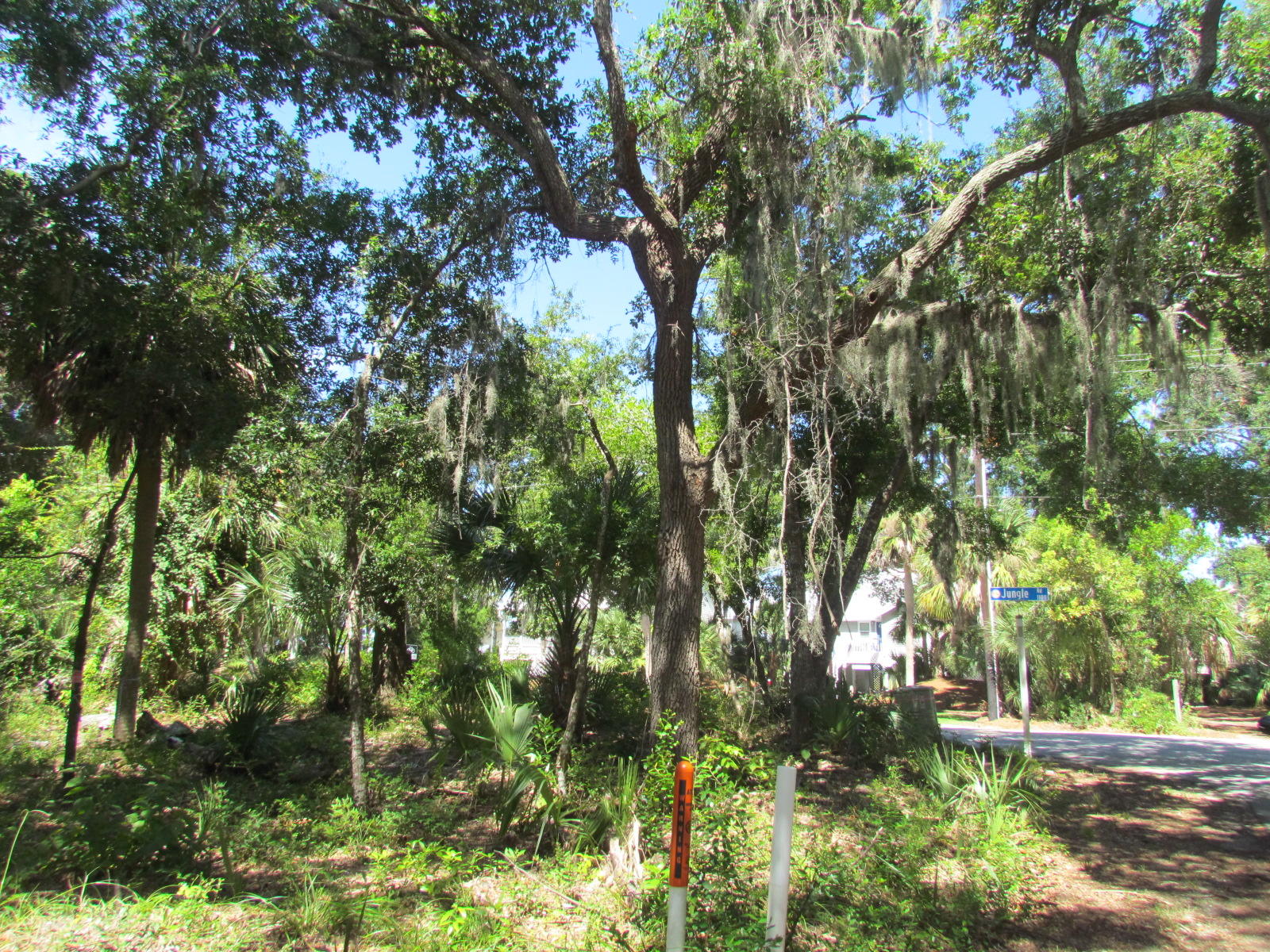 1102 Jungle Road Edisto Beach, SC 29438 - Photo 10 of 12 IMG_3319