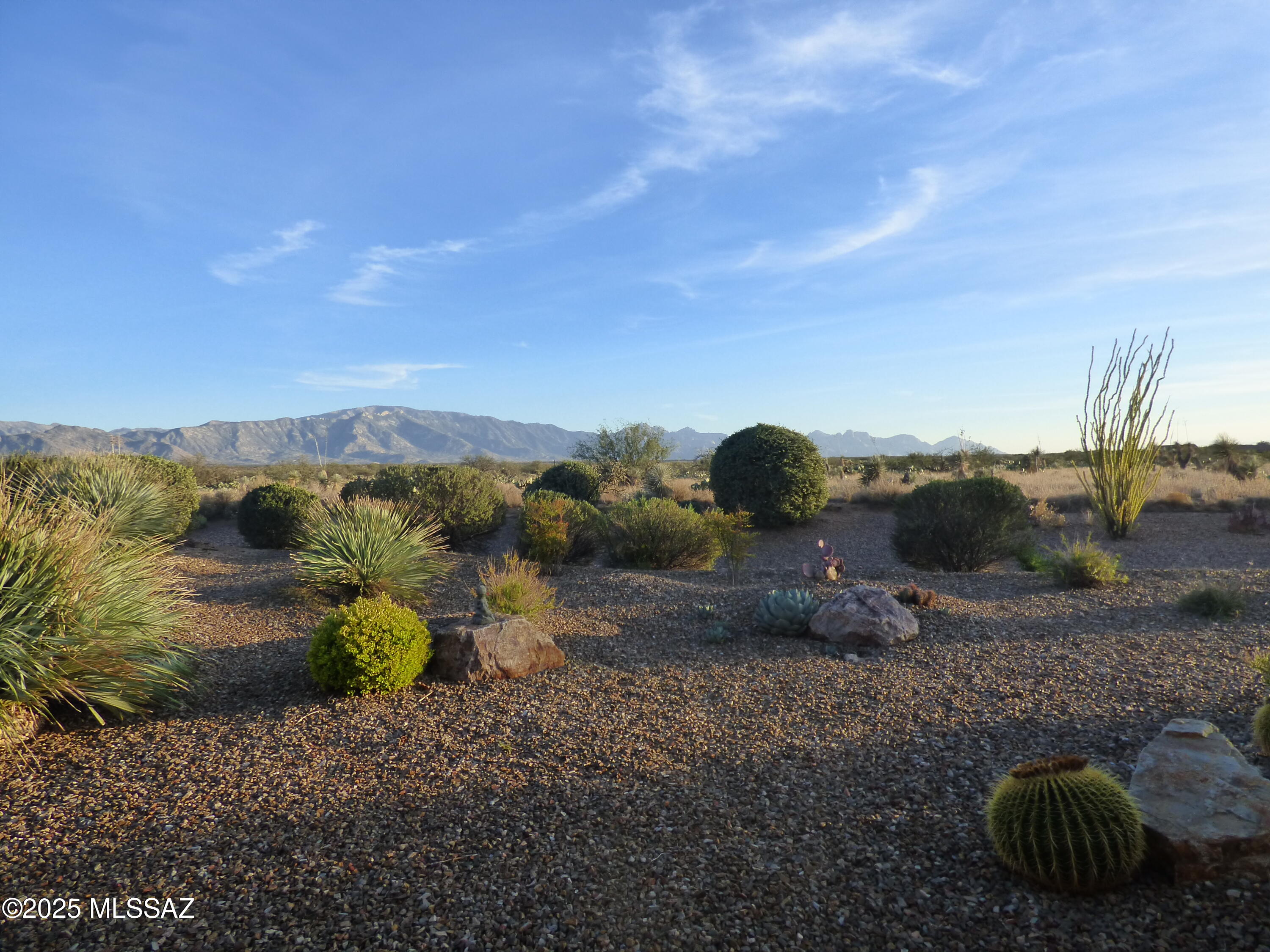 61217 East Arbor Basin Road Oracle, AZ 85623 - Photo 2 of 40