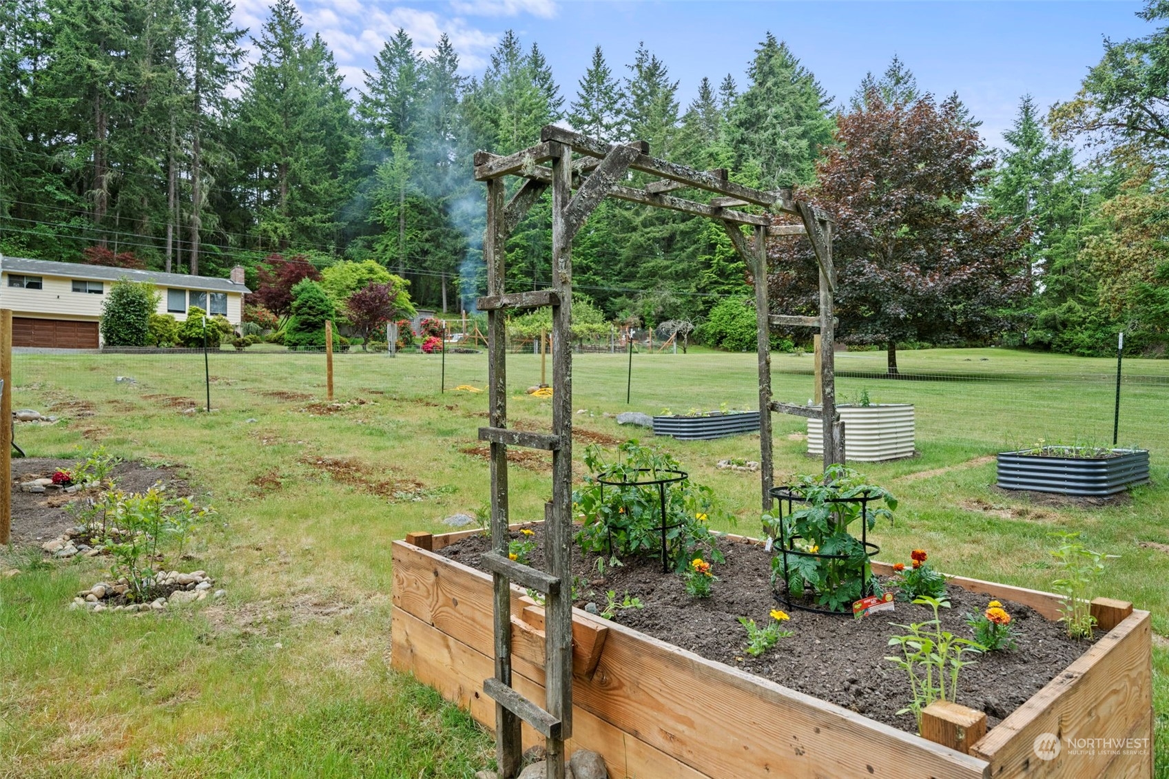 835 Hyak Way Fox Island, WA 98333 - Photo 34 of 38 a view of a backyard with large trees