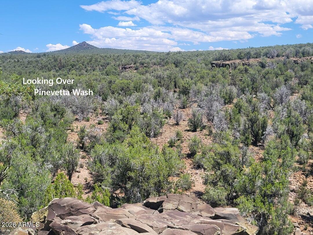 997 East Timberhill Road, Unit 997 Williams, AZ 86046 - Photo 5 of 22