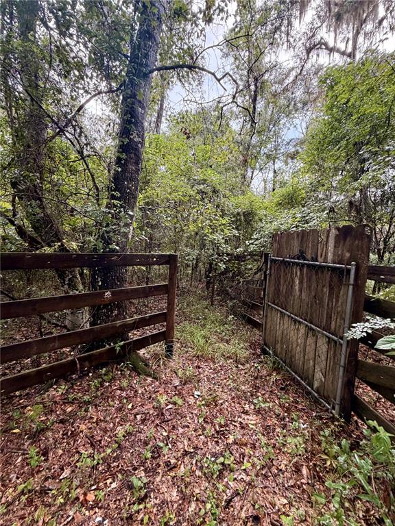 12602 Southwest Williston Road Micanopy, FL 32667 - Photo 14 of 21 Gallery Image 14