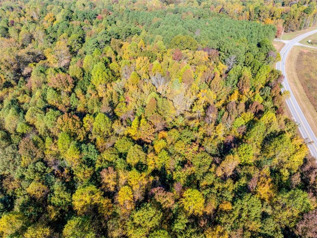 0 Holly Springs Road Pendergrass, GA 30567 - Photo 6 of 6