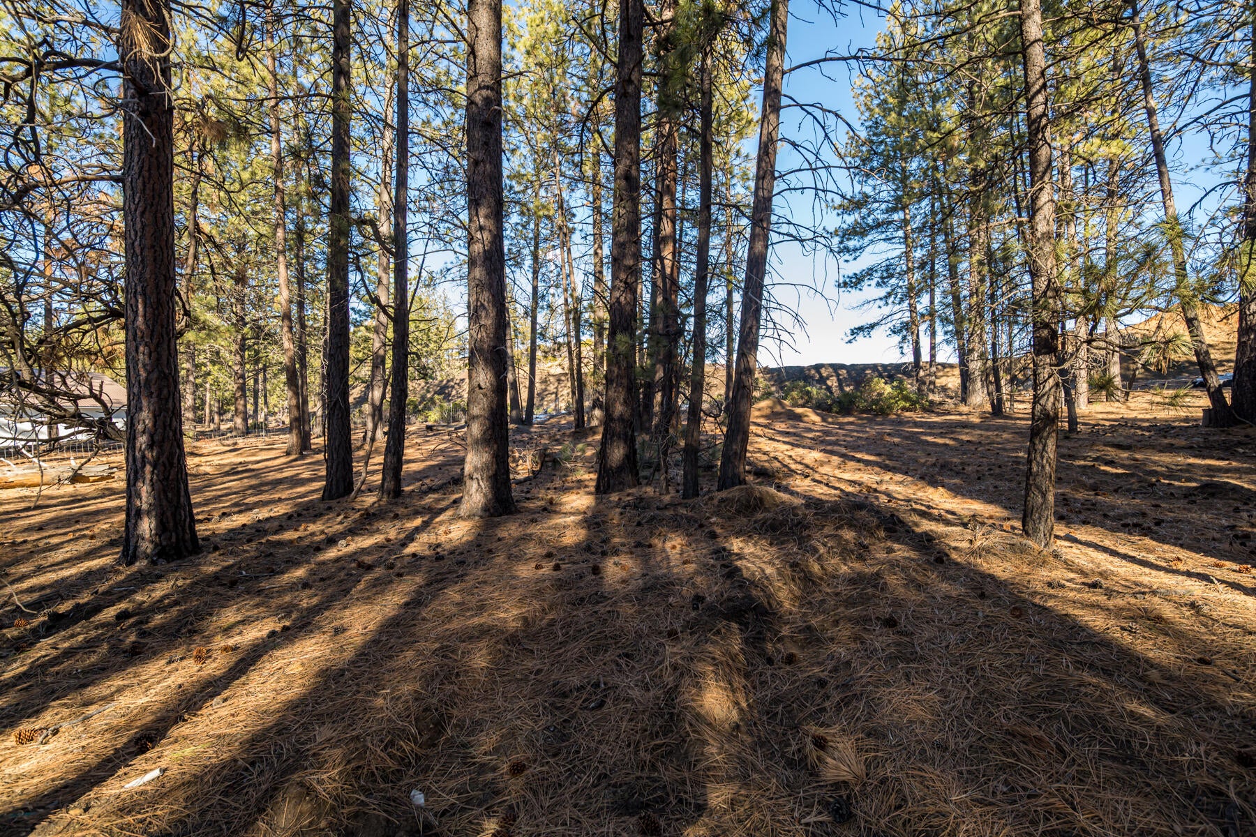 19220 Cherokee Road Bend, OR 97702 - Photo 25 of 25 31JH5_0988