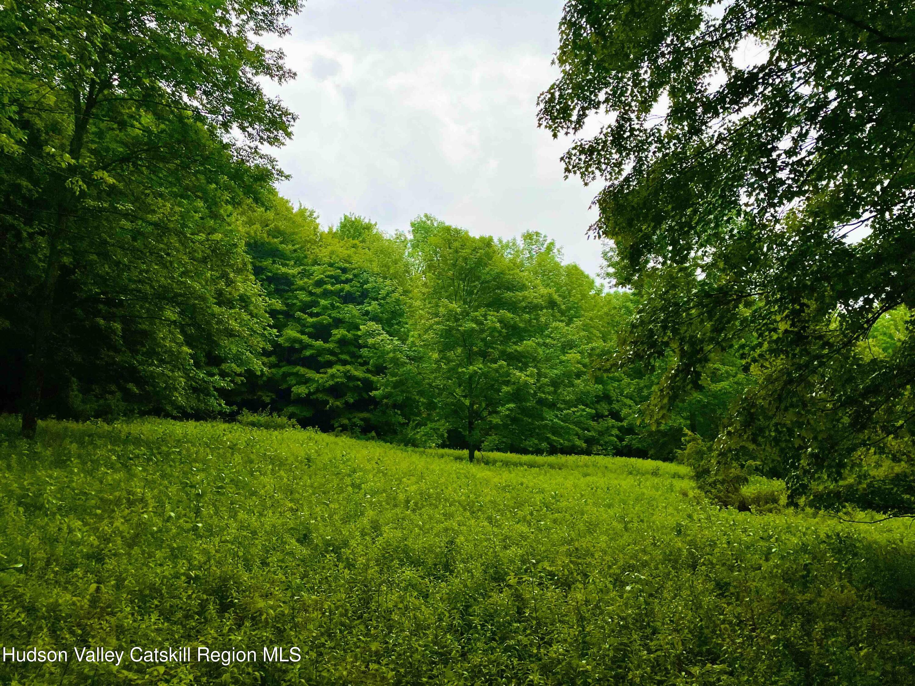 0 West Killie Road North Branch, NY 12766 - Photo 3 of 12 a view of yard with green space