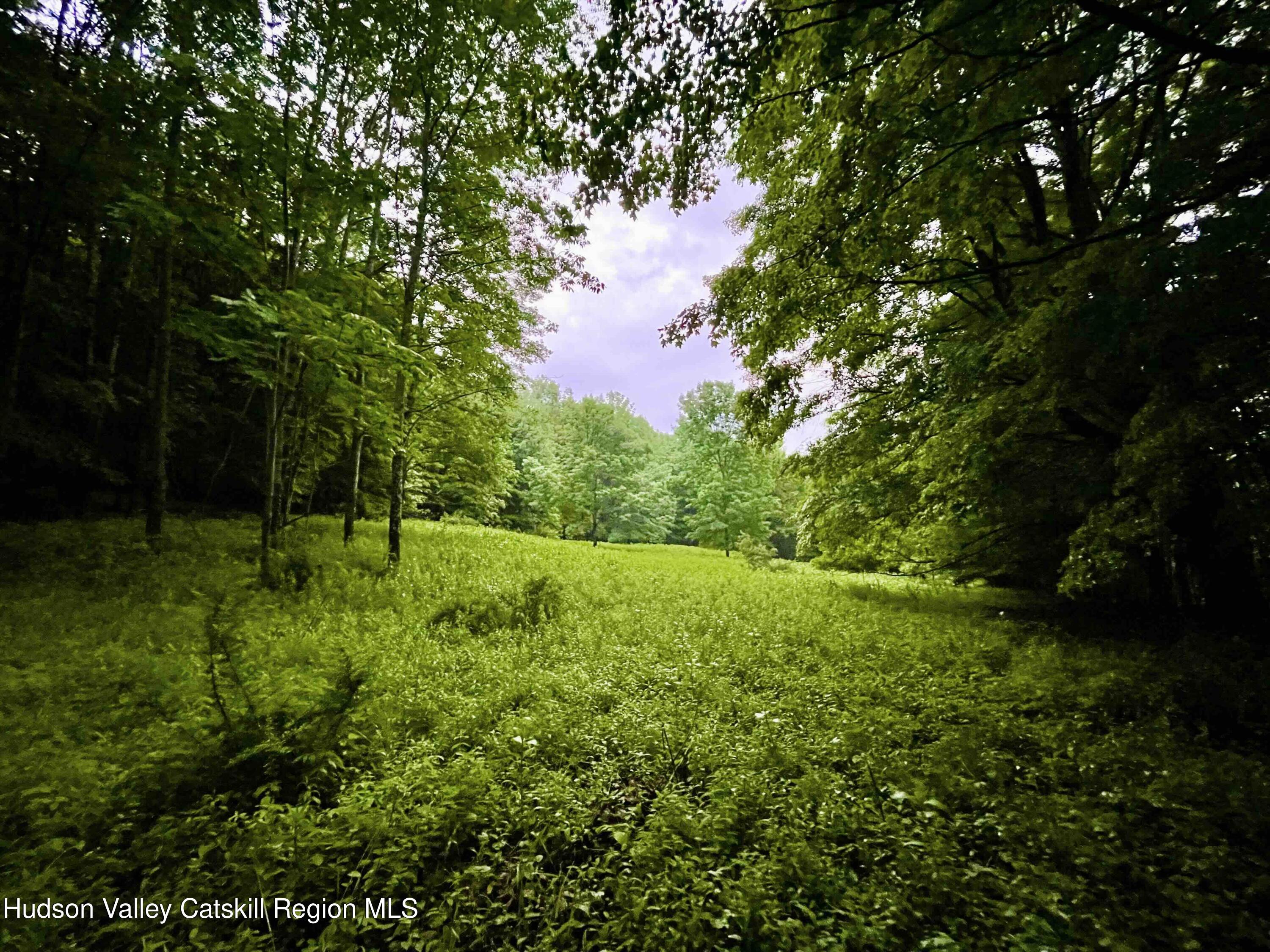 0 West Killie Road North Branch, NY 12766 - Photo 4 of 12 a view of an outdoor space and a yard