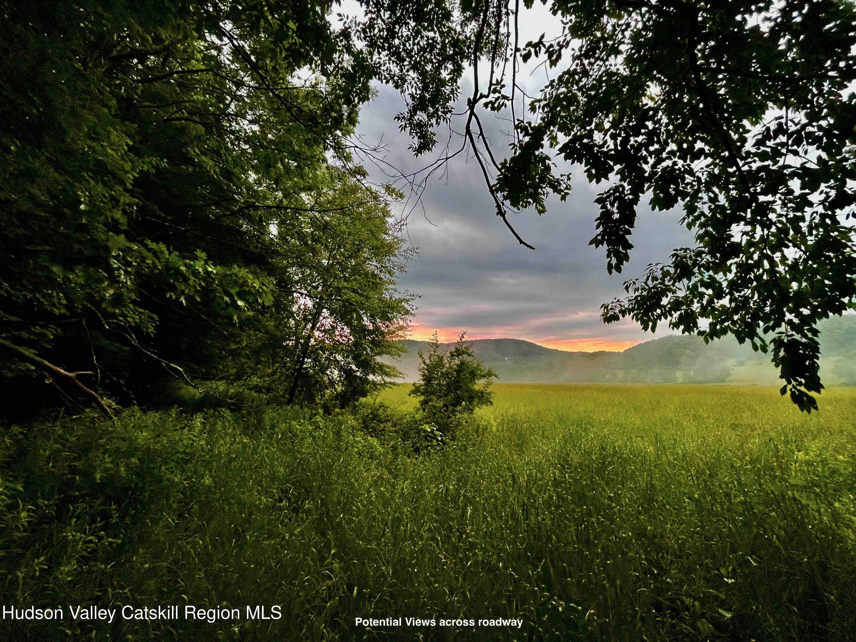 0 West Killie Road North Branch, NY 12766 - Photo 5 of 12 a view of lake from a yard