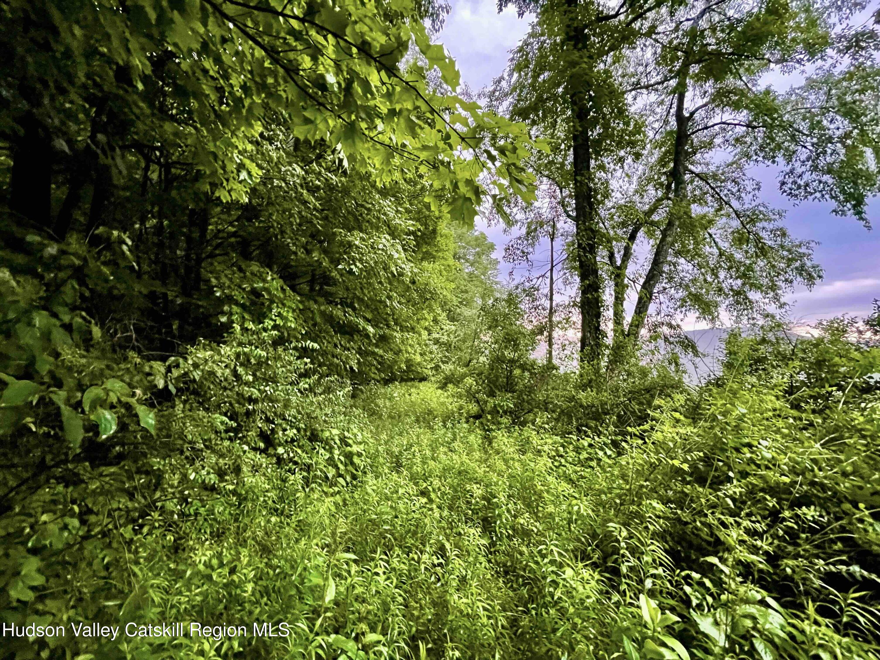 0 West Killie Road North Branch, NY 12766 - Photo 6 of 12 a backyard of a house with lots of green space