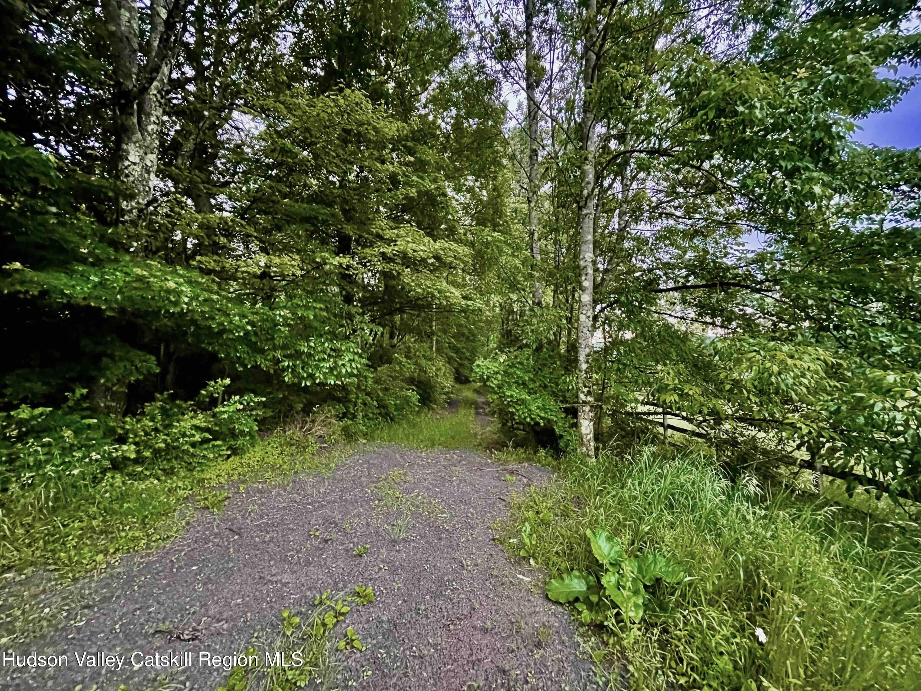 0 West Killie Road North Branch, NY 12766 - Photo 7 of 12 a view of a yard with plants and a tree