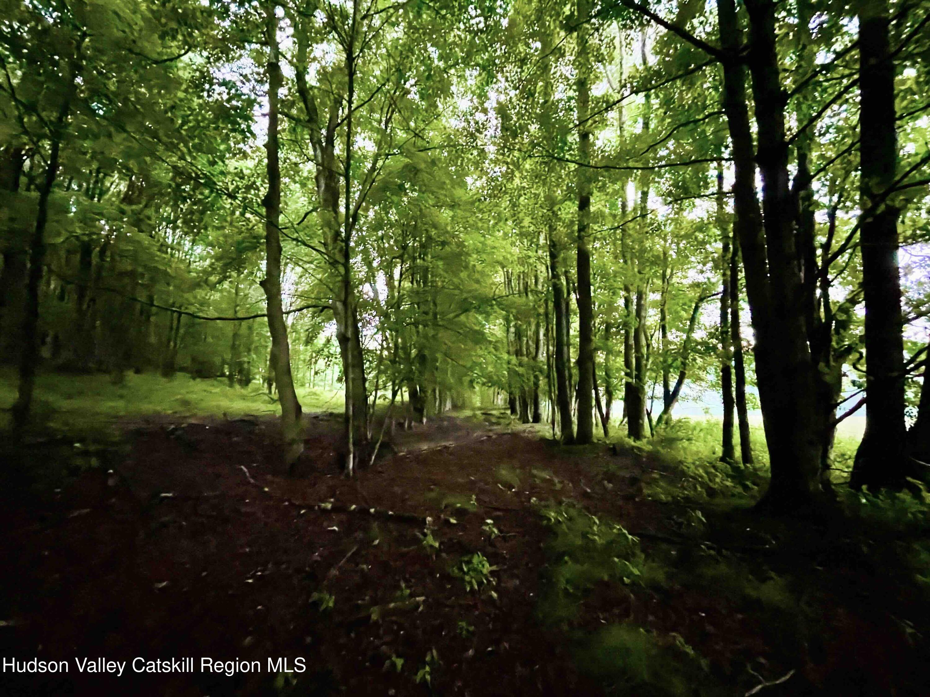 0 West Killie Road North Branch, NY 12766 - Photo 9 of 12 a view of a street with a trees