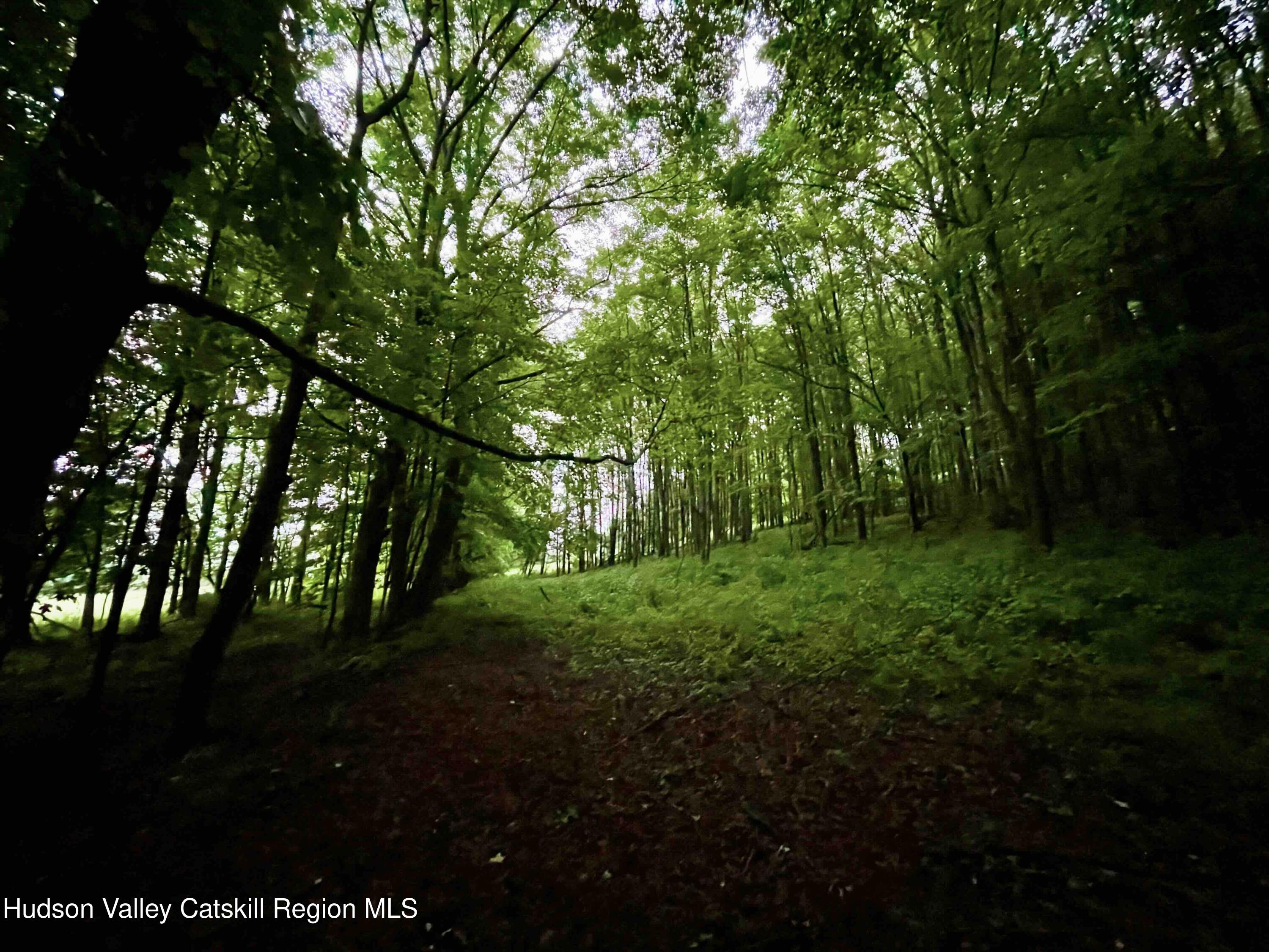 0 West Killie Road North Branch, NY 12766 - Photo 10 of 12 a view of outdoor space and trees all around