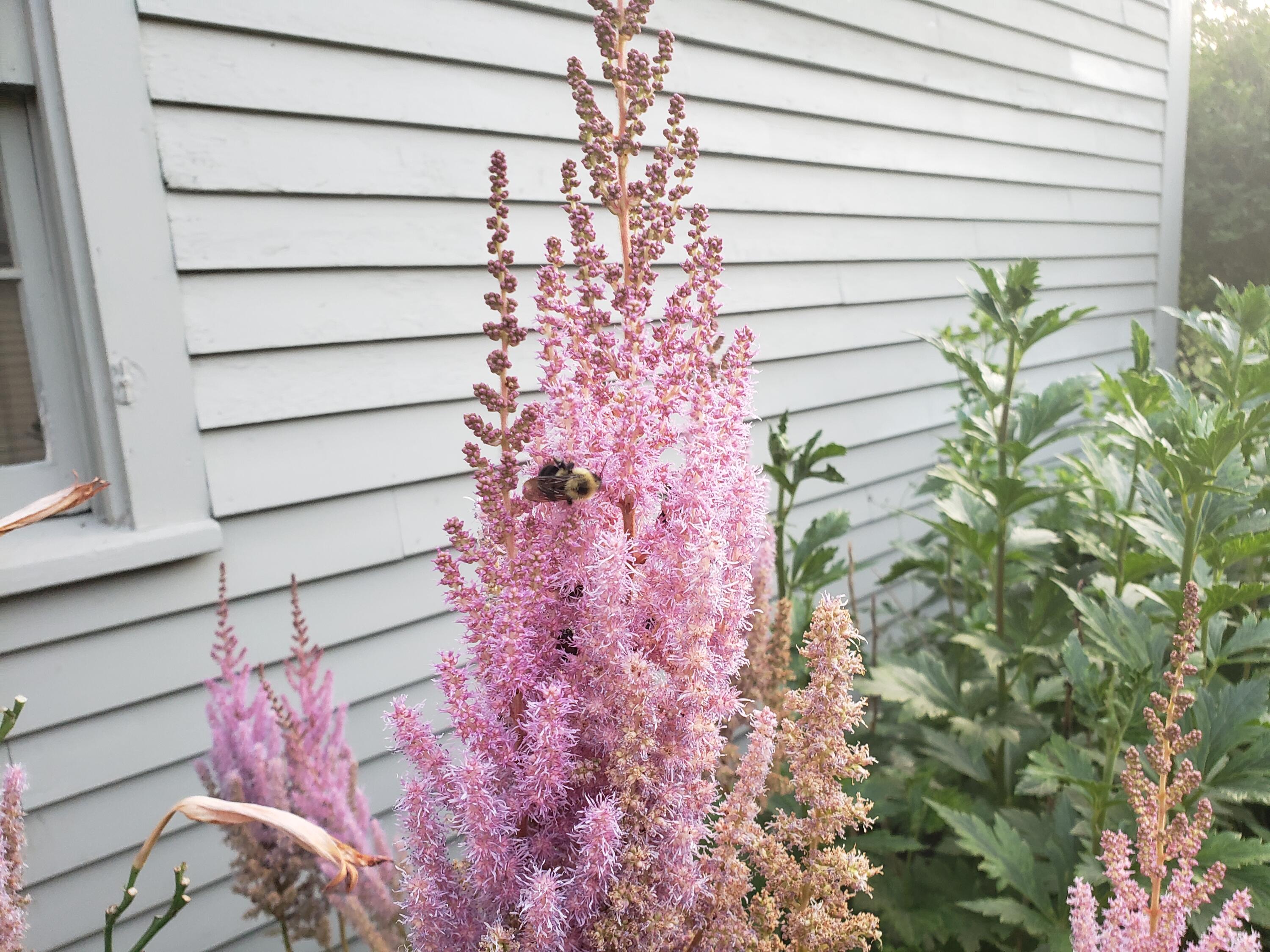 268 Hilton Road Whitefield, ME 04353 - Photo 37 of 56 20190802_193242