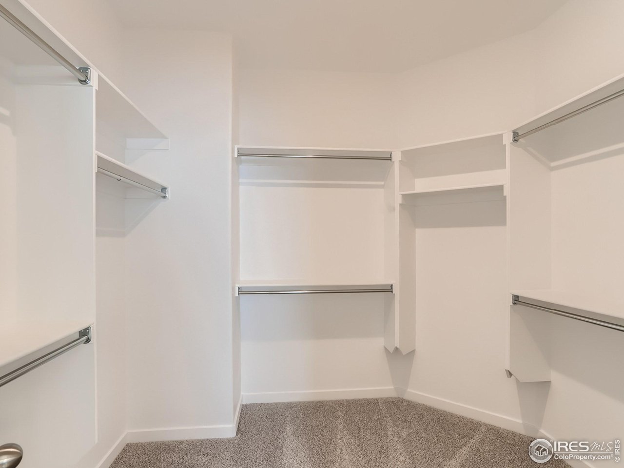 2072 Falling Leaf Drive Windsor, CO 80550 - Photo 16 of 28