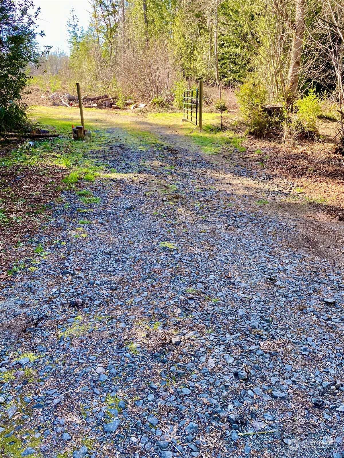 3814 Reeves Road Southwest Longbranch, WA 98349 - Photo 1 of 13 Gallery Image 1