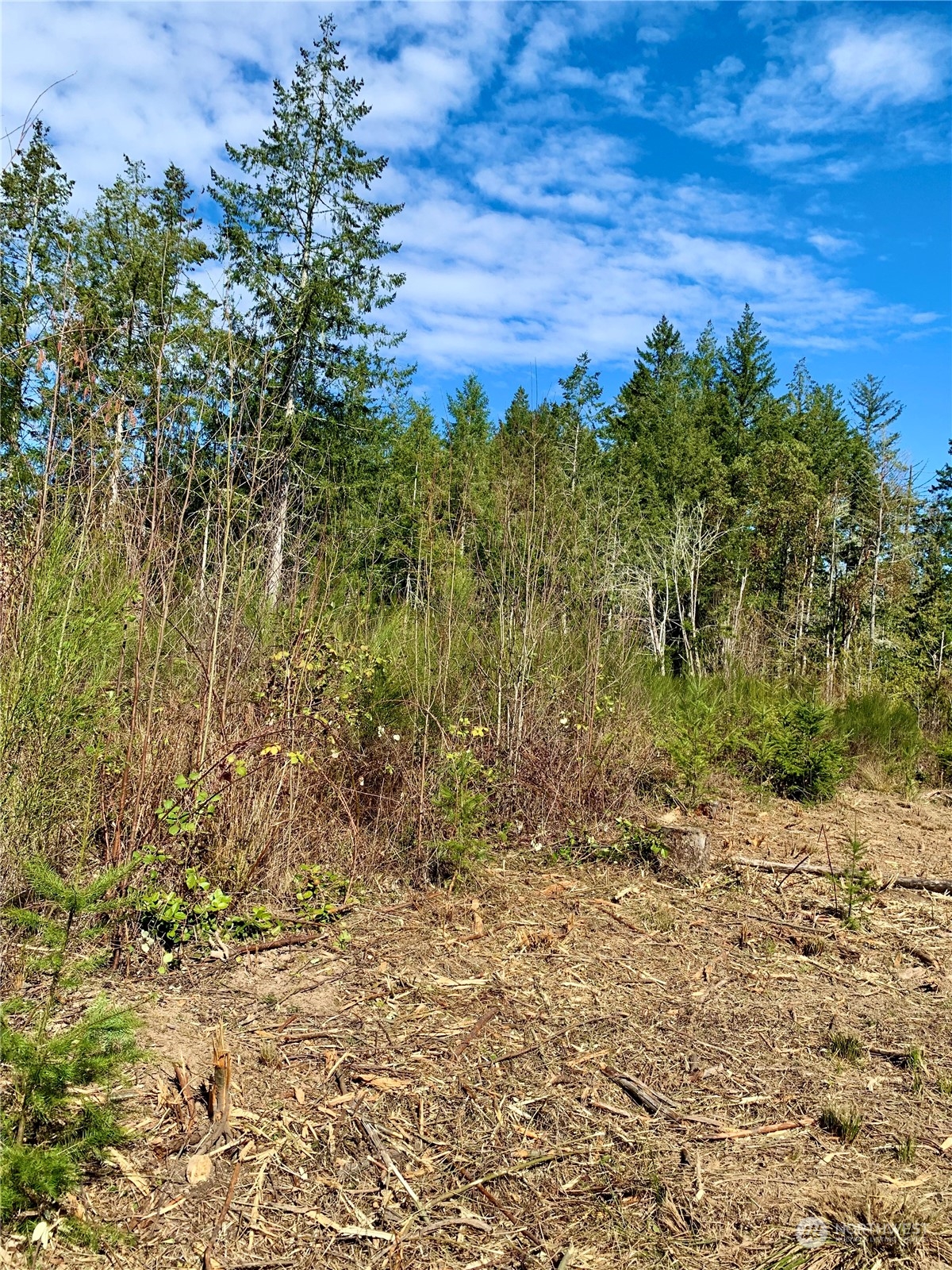 3814 Reeves Road Southwest Longbranch, WA 98349 - Photo 7 of 13 Gallery Image 7