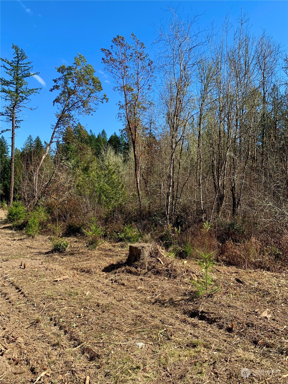 3814 Reeves Road Southwest Longbranch, WA 98349 - Photo 8 of 13 Gallery Image 8
