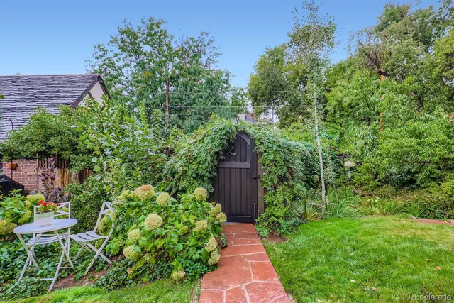 a view of a garden with large trees