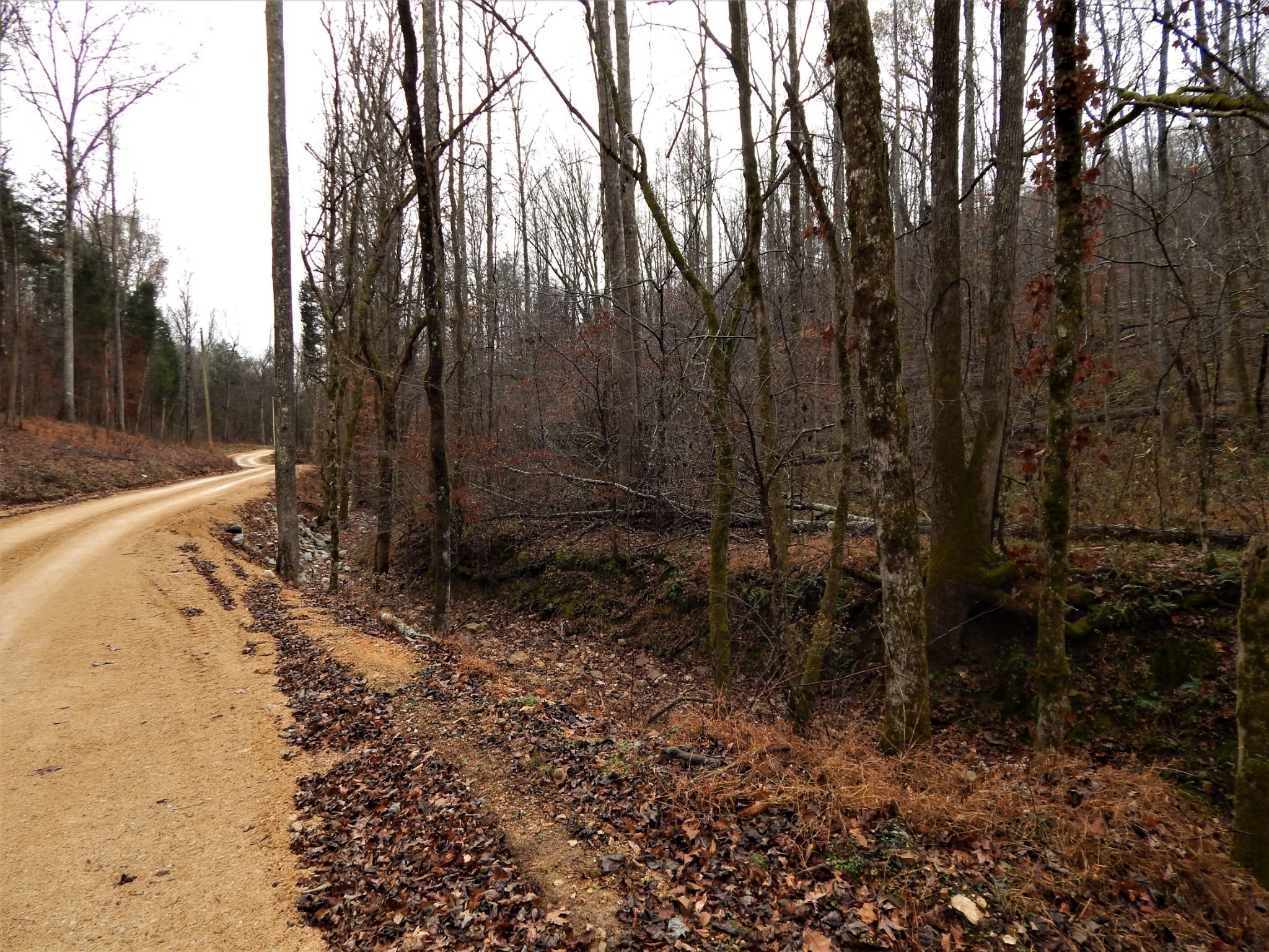 0 Warren Hollow Road Clifton, TN 38425 - Photo 2 of 30 Gallery Image 2