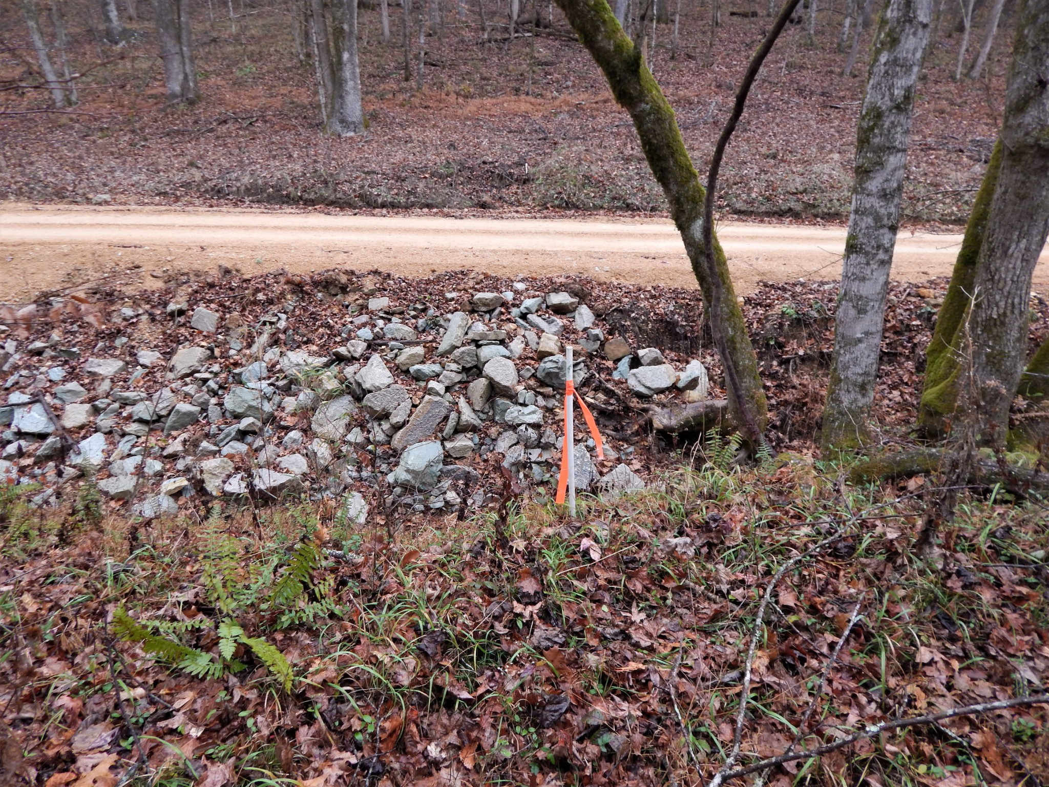 0 Warren Hollow Road Clifton, TN 38425 - Photo 27 of 30 Gallery Image 27