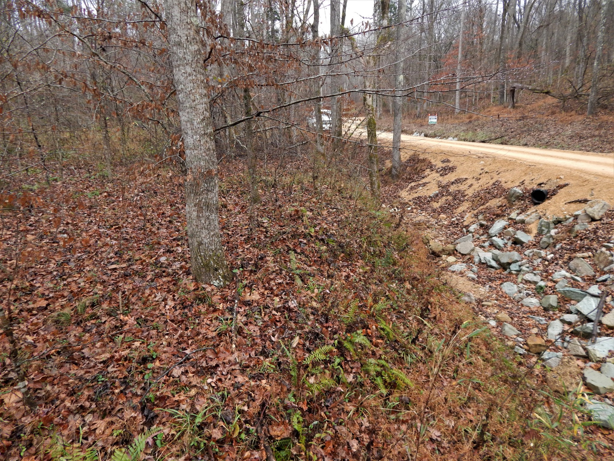 0 Warren Hollow Road Clifton, TN 38425 - Photo 28 of 30 Gallery Image 28