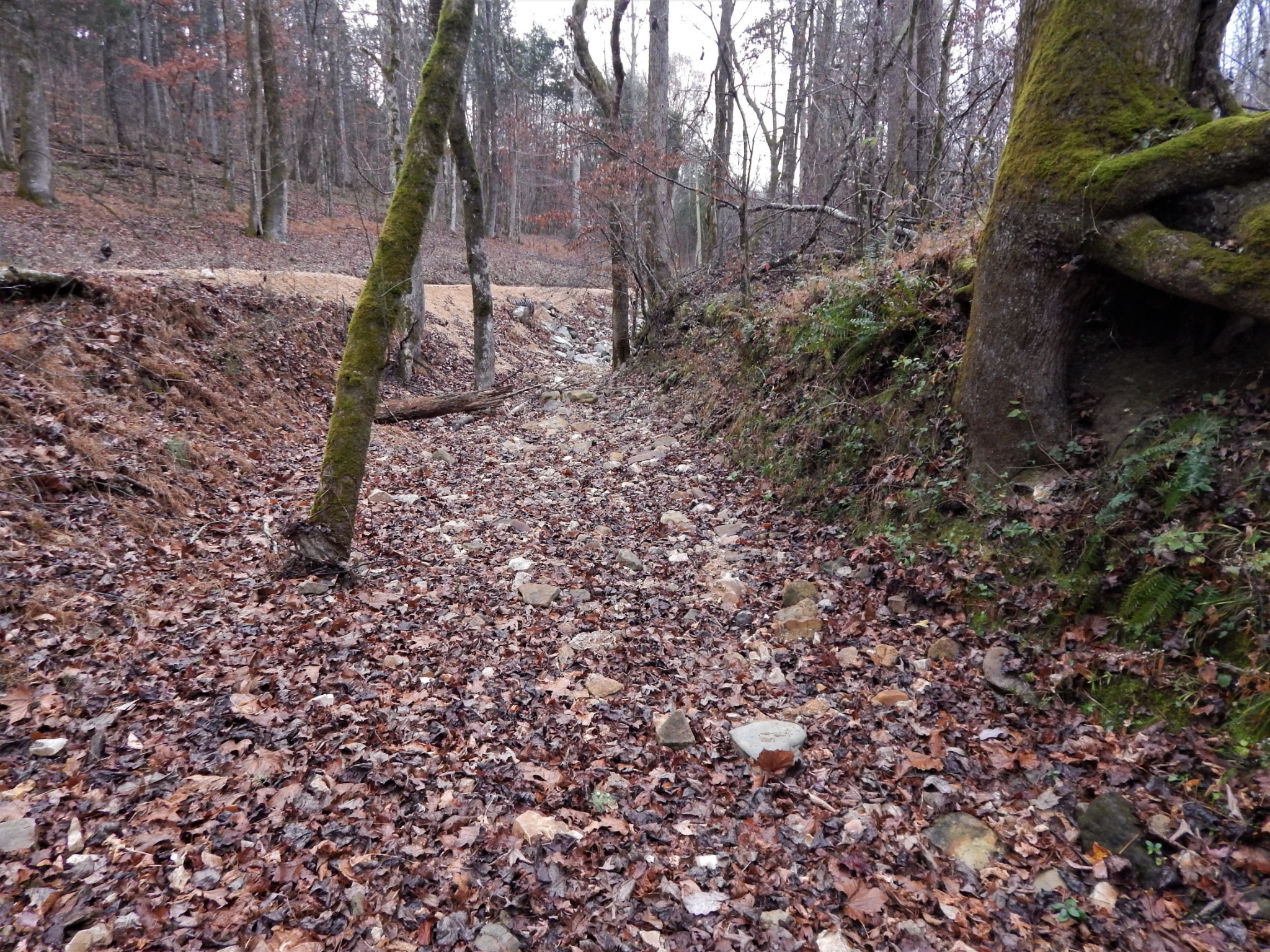 0 Warren Hollow Road Clifton, TN 38425 - Photo 29 of 30 Gallery Image 29