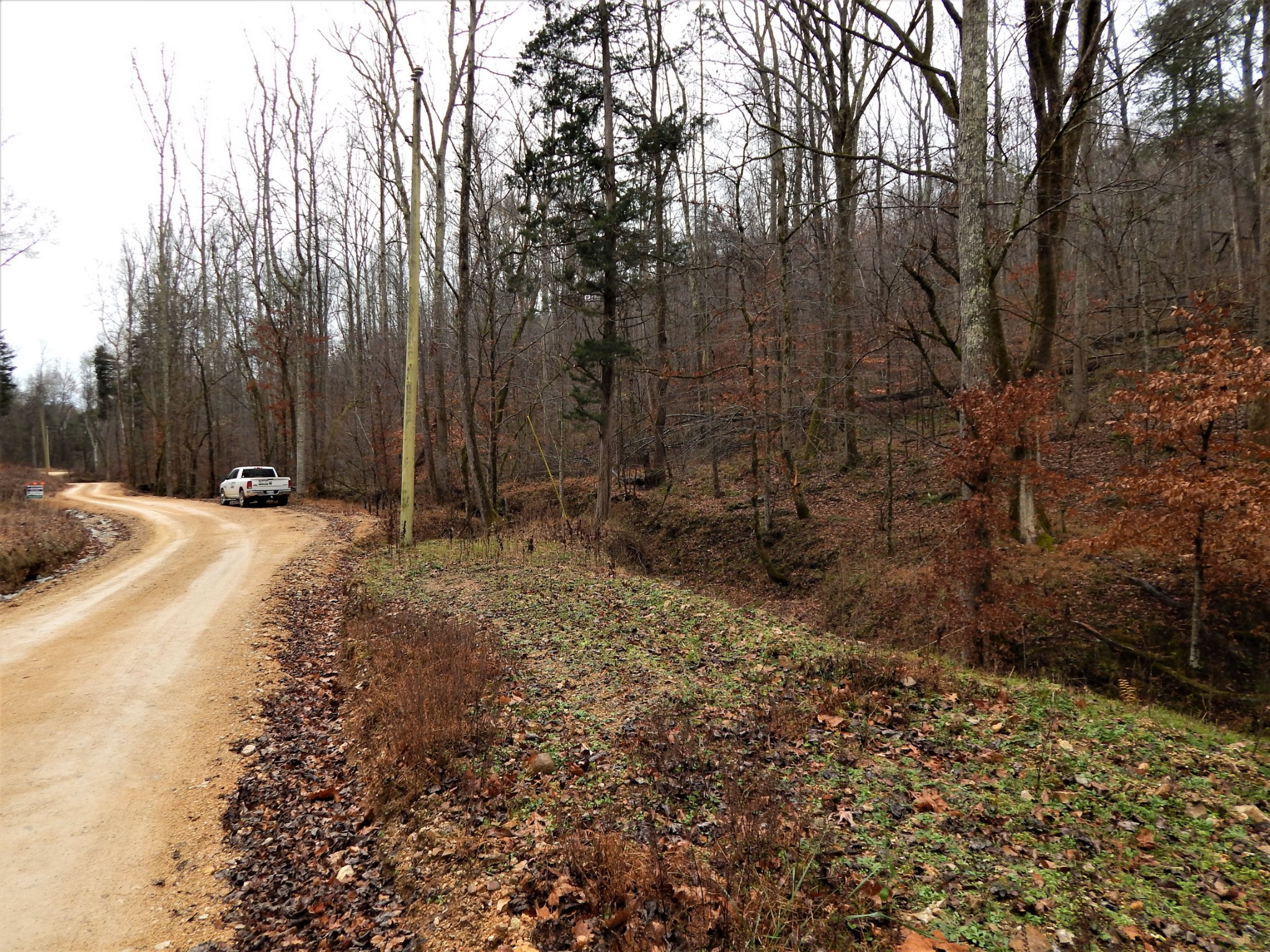 0 Warren Hollow Road Clifton, TN 38425 - Photo 5 of 30 Gallery Image 5