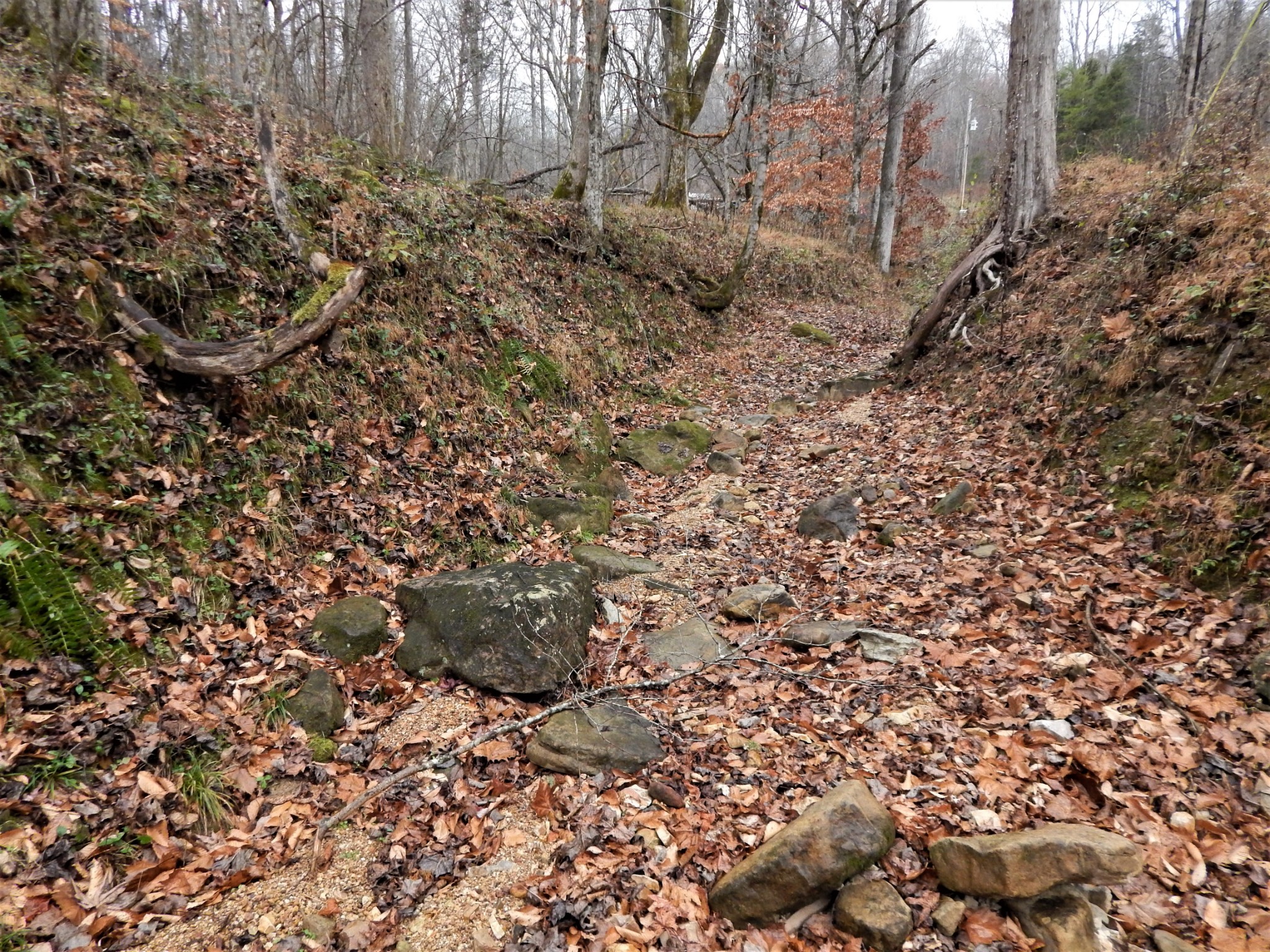 0 Warren Hollow Road Clifton, TN 38425 - Photo 6 of 30 Gallery Image 6